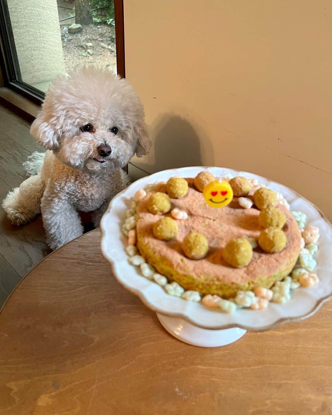 シン・セギョンさんのインスタグラム写真 - (シン・セギョンInstagram)「사랑이 생일 축하해💛✨」6月15日 18時51分 - sjkuksee