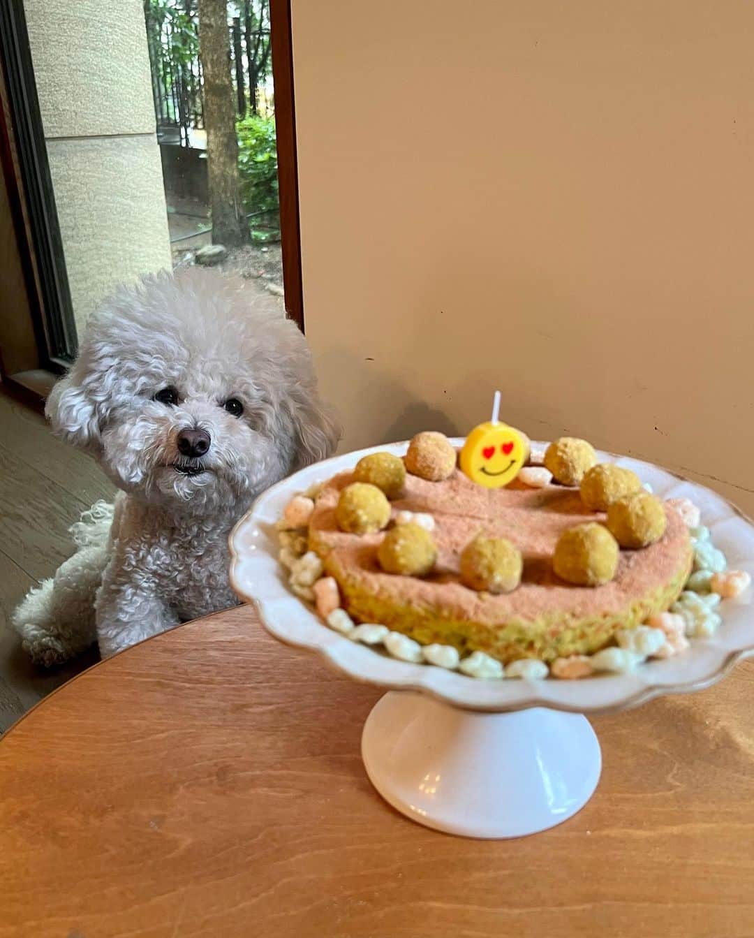 シン・セギョンさんのインスタグラム写真 - (シン・セギョンInstagram)「사랑이 생일 축하해💛✨」6月15日 18時51分 - sjkuksee