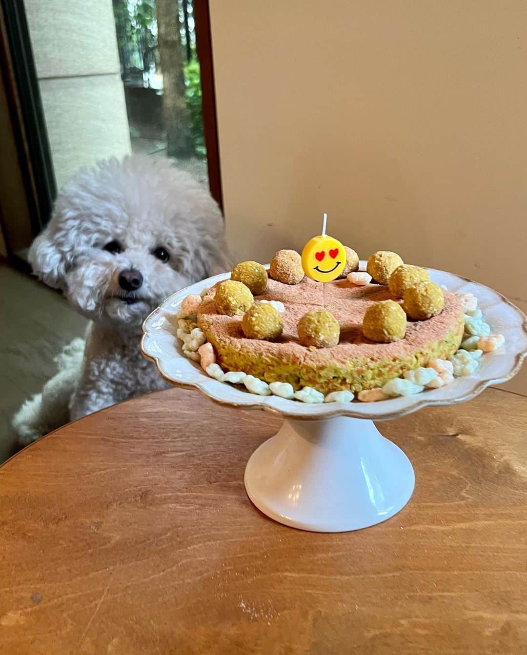シン・セギョンさんのインスタグラム写真 - (シン・セギョンInstagram)「사랑이 생일 축하해💛✨」6月15日 18時51分 - sjkuksee