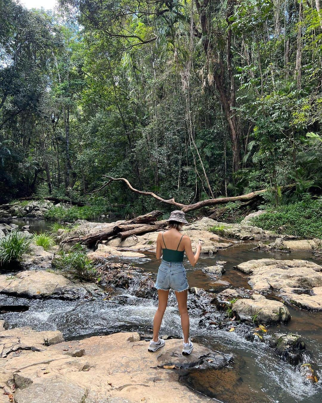 りおなさんのインスタグラム写真 - (りおなInstagram)「. nature😌🍃 . . . . #cairns #cairnsaustralia #cairnscity #cairnslife #cairnsofinstagram #australia #studentlife #slowlife #esplanade #lagoon #palmtrees #ケアンズ #ケアンズ留学 #ケアンズライフ #オーストラリア #オーストラリア留学 #留学 #留学生活 #語学留学 #語学学校 #beach #bikini #chillout #morning #lunch  #kuranda #kurandavillage #germandog #nature」6月15日 19時03分 - rionapzzz