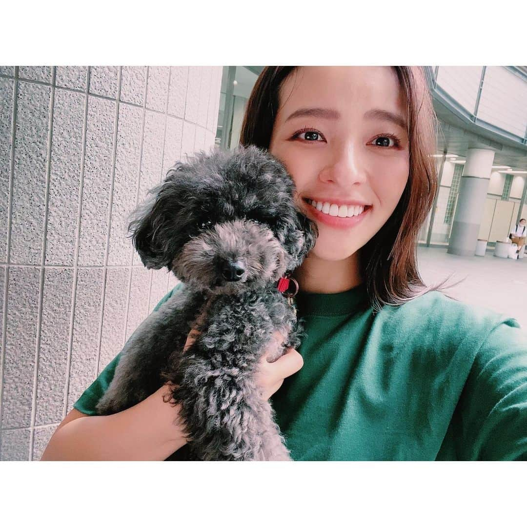 水崎綾女さんのインスタグラム写真 - (水崎綾女Instagram)「🐶🐶🐶🐶🐶  おいぬかい。みんなが可愛すぎて癒されたぁぁぁ♡♡♡  @rea.ruru  @bolo0822  #いぬ #dog #dogsofinstagram  #犬 #🐶 #🐕 #イヌ #🐕‍🦺」6月15日 20時45分 - misakiayame