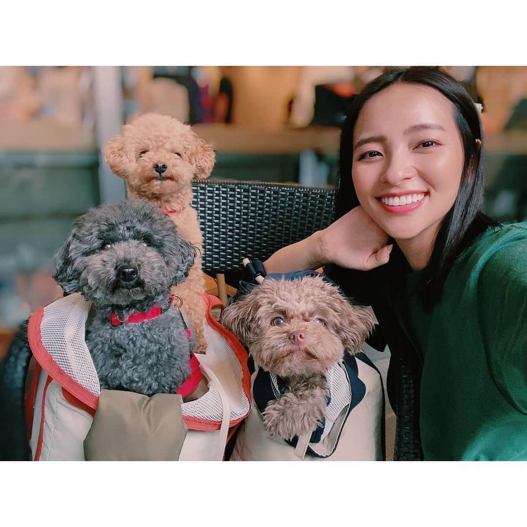 水崎綾女さんのインスタグラム写真 - (水崎綾女Instagram)「🐶🐶🐶🐶🐶  おいぬかい。みんなが可愛すぎて癒されたぁぁぁ♡♡♡  @rea.ruru  @bolo0822  #いぬ #dog #dogsofinstagram  #犬 #🐶 #🐕 #イヌ #🐕‍🦺」6月15日 20時45分 - misakiayame