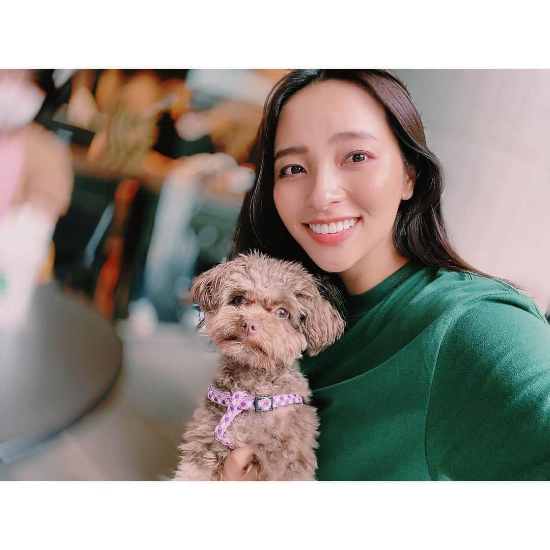 水崎綾女さんのインスタグラム写真 - (水崎綾女Instagram)「🐶🐶🐶🐶🐶  おいぬかい。みんなが可愛すぎて癒されたぁぁぁ♡♡♡  @rea.ruru  @bolo0822  #いぬ #dog #dogsofinstagram  #犬 #🐶 #🐕 #イヌ #🐕‍🦺」6月15日 20時45分 - misakiayame