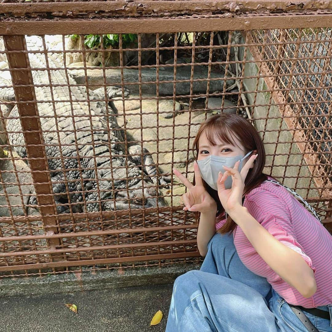 木下ひなこさんのインスタグラム写真 - (木下ひなこInstagram)「🍌念願のバナナワニ園🐊 ワニかっこよかったし 別館にレッサーパンダがたくさんいて とっても可愛かった🫶🫶 結構見応えあって楽しかったです!!! ((スワイプすると🐊いるよ💕))  #伊豆#伊豆旅行#バナナワニ園」6月15日 21時15分 - hinako_0525