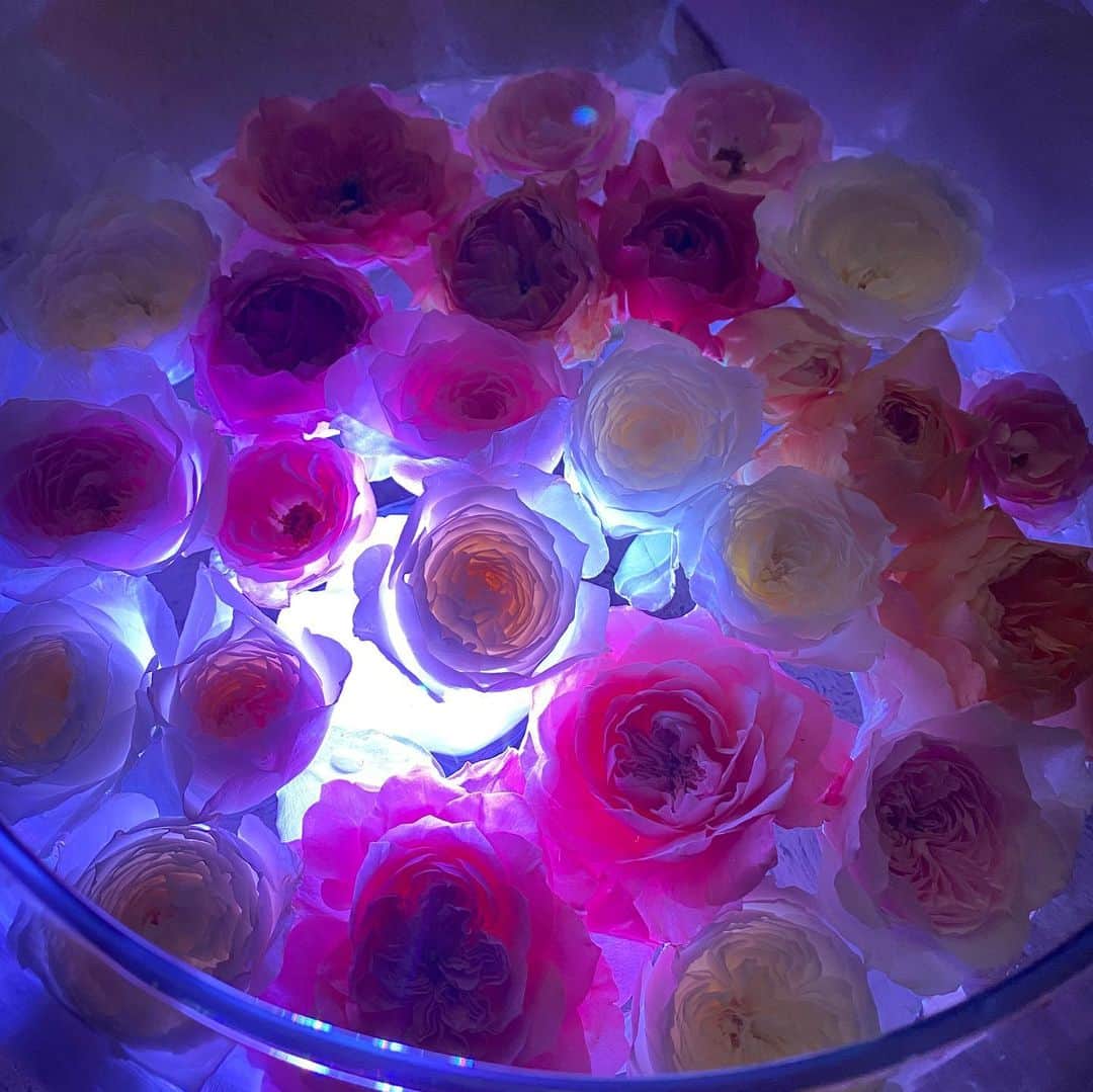 Ms.OOJAさんのインスタグラム写真 - (Ms.OOJAInstagram)「White Complex 生花と製菓の融合　@ungrain_tokyo   フラワーアーティストのダイちゃん @daisuke_shim のコーディネートする 和薔薇🌹 @rosefarmkeiji の優しい色合いと上品で芳醇な香りと、 昆布シェフ @tomo.kombu の計算し尽くされた絶品スイーツとの融合。  スイーツにあえて香りの空白を作り、薔薇の香りと合わせた時に初めて完成させるという、とても実験的なセッション  薔薇って食べ物には合わないと思っていたけど、こんなにも自然に融合して 視覚も味覚も嗅覚も、豊かに楽しませてくれるものなんだなぁと、とても感動しました✨✨  和薔薇の香りにハマりそうです✨✨🌹  ご一緒させていただいたマリエさんと❤️  とても素敵な時間でした☺️」6月15日 23時29分 - msoojafaith