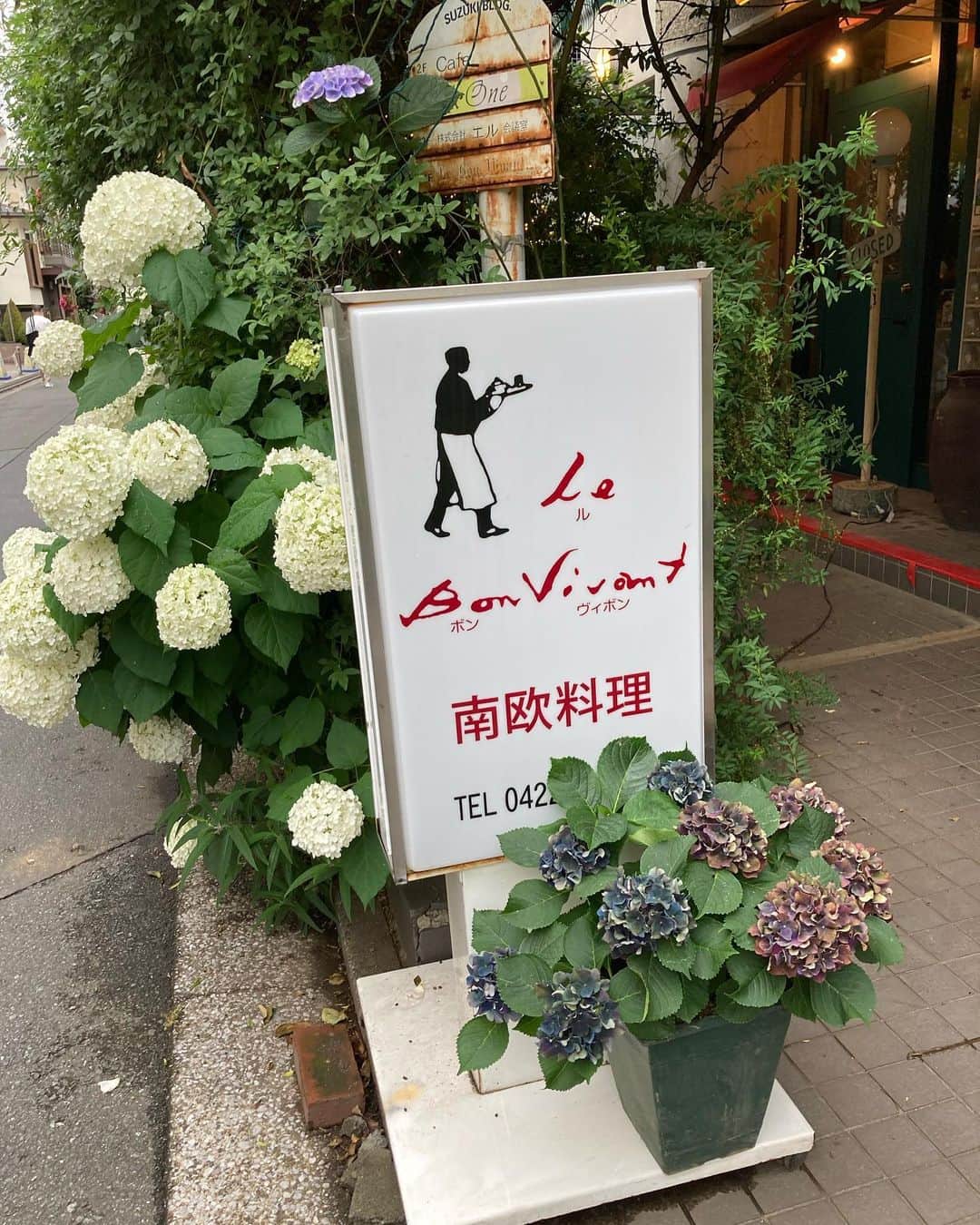 安藤優子さんのインスタグラム写真 - (安藤優子Instagram)「トレーニングしたら食べなくっちゃ‼️  お早うございます‼️  今朝はもう陽射しがたっぷりになってきた東京、28度予想です。  昨晩は、友達の「南欧料理」レストランへ。  ハーブたっぷりのサーモンの前菜、サラダ、牛ほほ肉の煮込みなど、堪能しました。  やっぱりプロの作るお料理は、すごい。  しみじみ良い時間でした。  さっ、そろそろリンを起こして朝ンポです。  陽射しがキツくなる前に行動開始です！  みなさま、本日もよろしくお願い致します‼️  #フレンチブルドッグ  #安藤優子」6月16日 6時35分 - yukoando0203