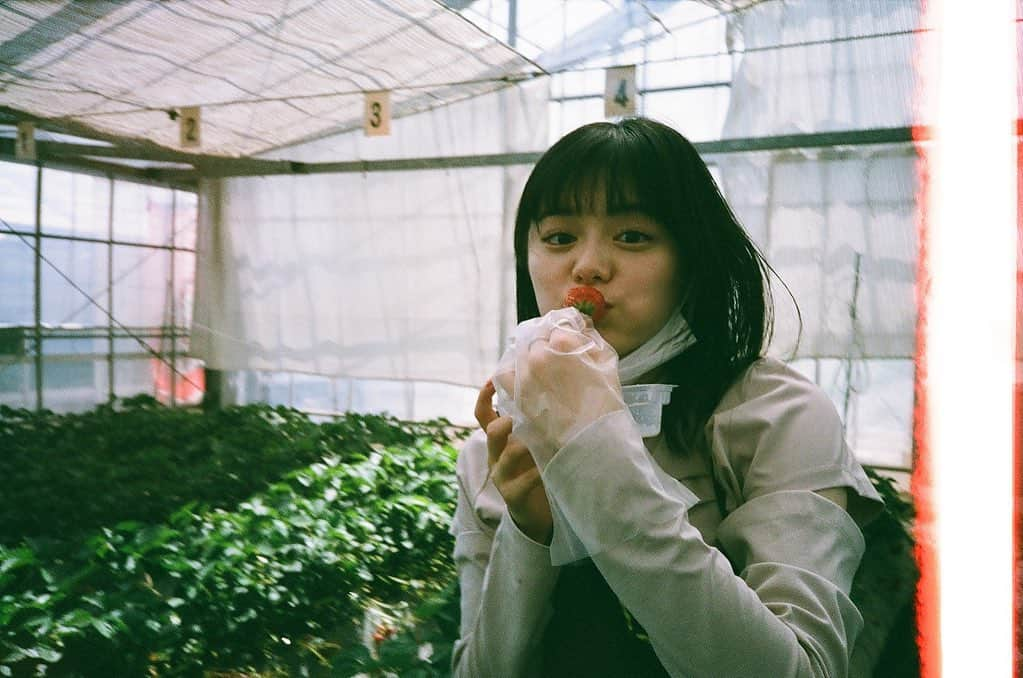 紺野彩夏さんのインスタグラム写真 - (紺野彩夏Instagram)「いつかのいちご狩り🍓 はじめていちご狩りしたんだ〜」6月16日 19時55分 - ayaka_konno_official