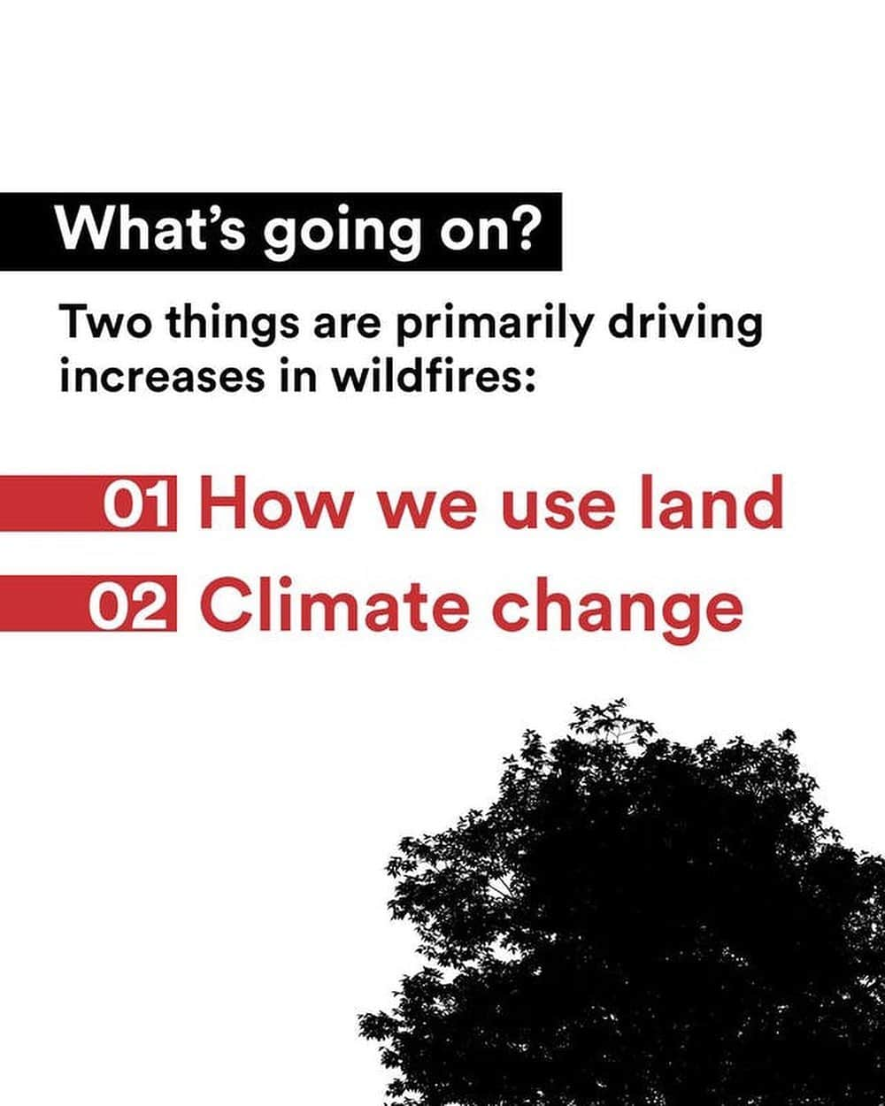 レオナルド・ディカプリオさんのインスタグラム写真 - (レオナルド・ディカプリオInstagram)「Climate change has magnified extreme weather conditions like drought, higher temperatures, and stronger winds that cause and spread wildfires. When rainforests burn, they release vast quantities of CO2, which exacerbates climate change.    Ecosystem destruction is among the main drivers of this detrimental cycle, making the microclimate drier and wildlands more prone to fires that are hotter and spread faster. Swipe to get the breakdown of the rise of wildfires and how we can slow the uptick.」6月17日 4時41分 - leonardodicaprio