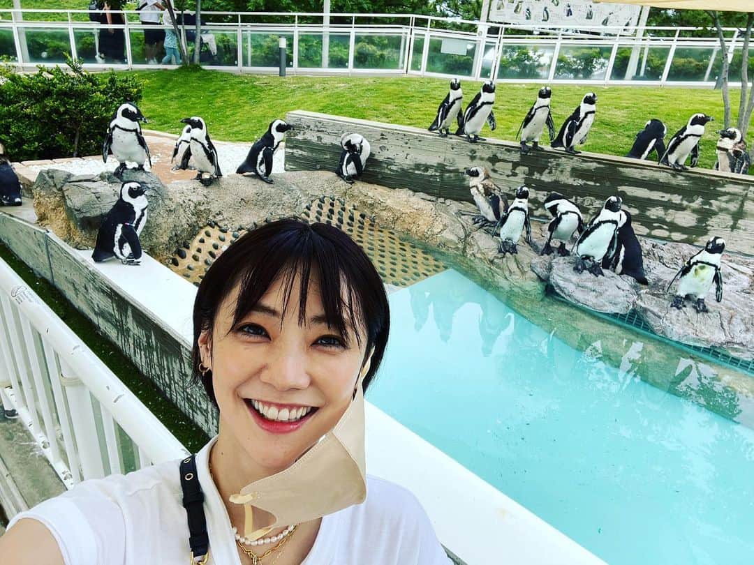 倉科カナさんのインスタグラム写真 - (倉科カナInstagram)「ペンギン達に囲まれて♡  福岡の「マリンワールド海の中道」に来ましたー♡ 癒されたぁー！！！！  ペンギンさん達と共に♡  #マリンワールド海の中道」6月17日 15時40分 - kanakurashina_official