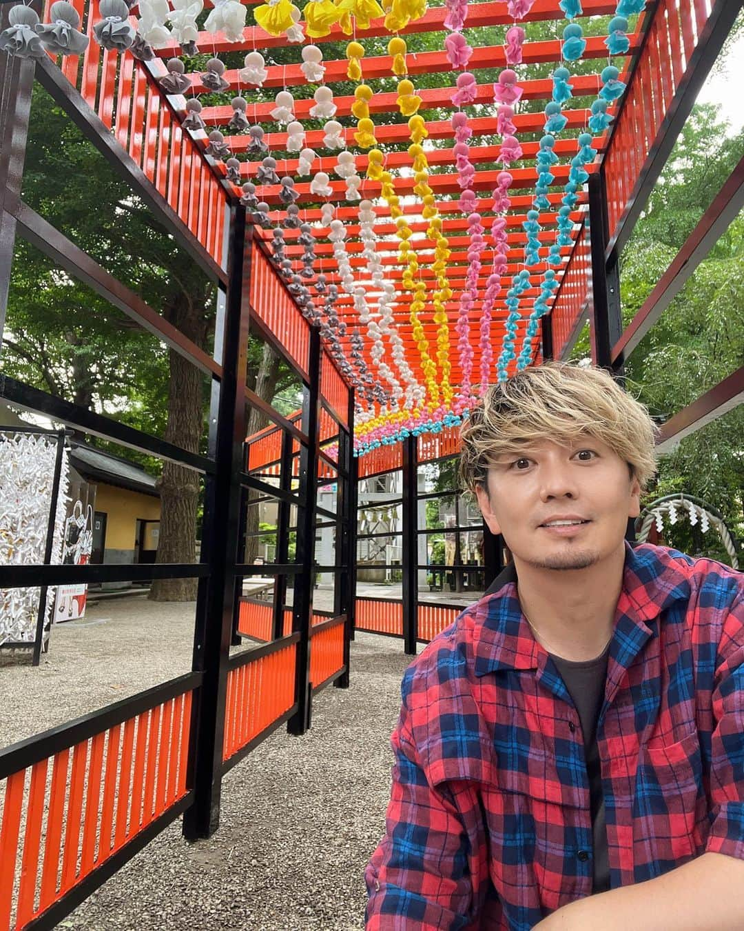 SHOCK EYEさんのインスタグラム写真 - (SHOCK EYEInstagram)「田無神社さんが毎年境内に設置する七夕てるてるトンネル🎋  いつもは神職の方々が手作りで設置するらしいのですが、 今年はコロナも落ち着いてきたこともあり、賑やかに例年の倍の長さになるということで、僕もシュライングラムのスタッフを連れて設置のお手伝いをしてきました＾＾  鮮やかなてるてる坊主が可愛いトンネル💕  １時間半くらいで設置完了！ ひとつひとつ丁寧に取り付けたよ。  この後、沢山の参拝者の願いが込められたてるてる坊主が両脇の柵に沢山かかっていくと思うと、なんだかとても嬉しい気持ちになりました。  ということで僕も願い事🙏✨  叶いますように😊  #田無神社 #七夕てるてるトンネル #shrinegram #ボランティア」6月17日 16時11分 - shockeye_official