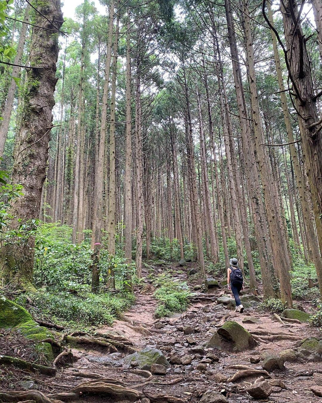 SÜMIREさんのインスタグラム写真 - (SÜMIREInstagram)「. 海も好きだけど山も好き🏔 とにかく自然が大好き🫶🏽🌏 . #山登り#筑波山#筑波山登山#登山 #山#茨城#自然#休日の過ごし方  #mountains#hiking#climbing#japan」6月17日 18時53分 - 12_sumiregram_26