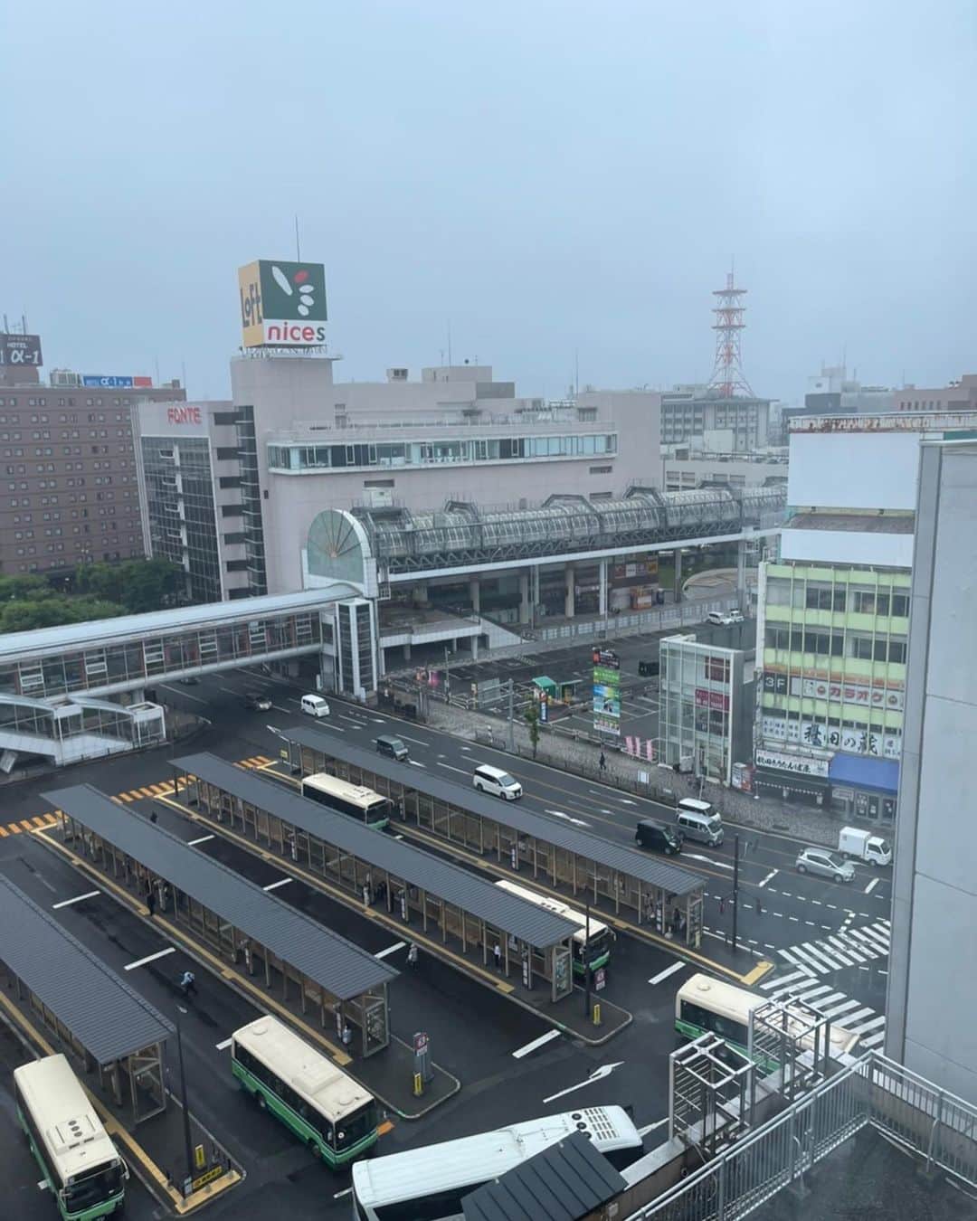 キャシー中島さんのインスタグラム写真 - (キャシー中島Instagram)「* 秋田の朝です。 駅の横にあるホテルに泊まったので、朝の景色は駅です。 今日は移動日、東京に帰るだけです。 いぶりがっこを買って帰ります。 きりたんぽ鍋も注文しちゃった！ すごく美味しそうで食べたくなちゃったのです！ 秋田も美味しいものがいっぱいあるね❣️  そんな頃 勝野パパはにゃにゃ吉とハッピータイムです。 その後に七奈美のところに行ってくれました。 ありがとうパパ❤️  夕方家に帰ってきてからネットショップ用のハワイアンキルトをカットしました。 今日はちょっと疲れたみたい。 でもね、 私は寝ると疲れが取れるタイプなんです！ 次の日の朝はスッキリいつも良い感じで目が覚めます！ 自分でも不思議です。  さて 明日は御殿場にいますよ。」6月18日 1時13分 - official_kathynakajima