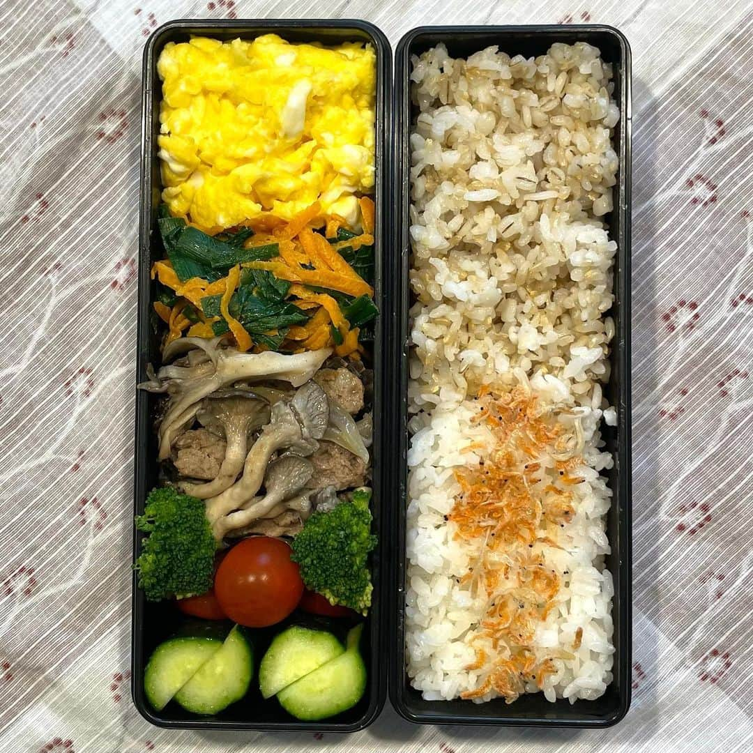 水野真紀さんのインスタグラム写真 - (水野真紀Instagram)「想定外脂肪量🐮弁当🍱  ①有塩バターでスクランブルエッグ風仕上げ🥚②①の後にニラ・ニンジン🥕投入しガガっと炒め、火を止めてピーナッツバター🥜・醤油で和える③昨夜残りのハンバーグ（冷凍品に🧅🍄足した）④🍅🥦⑤🥒  国産牛冷凍ハンバーグ、晩飯の残りを一晩冷蔵庫保存してビックリ🫣肉汁よりも脂肪多し💦 おいしかったけど😅  #女優かーさんによる男子弁当」6月18日 17時07分 - maki_mizuno_official