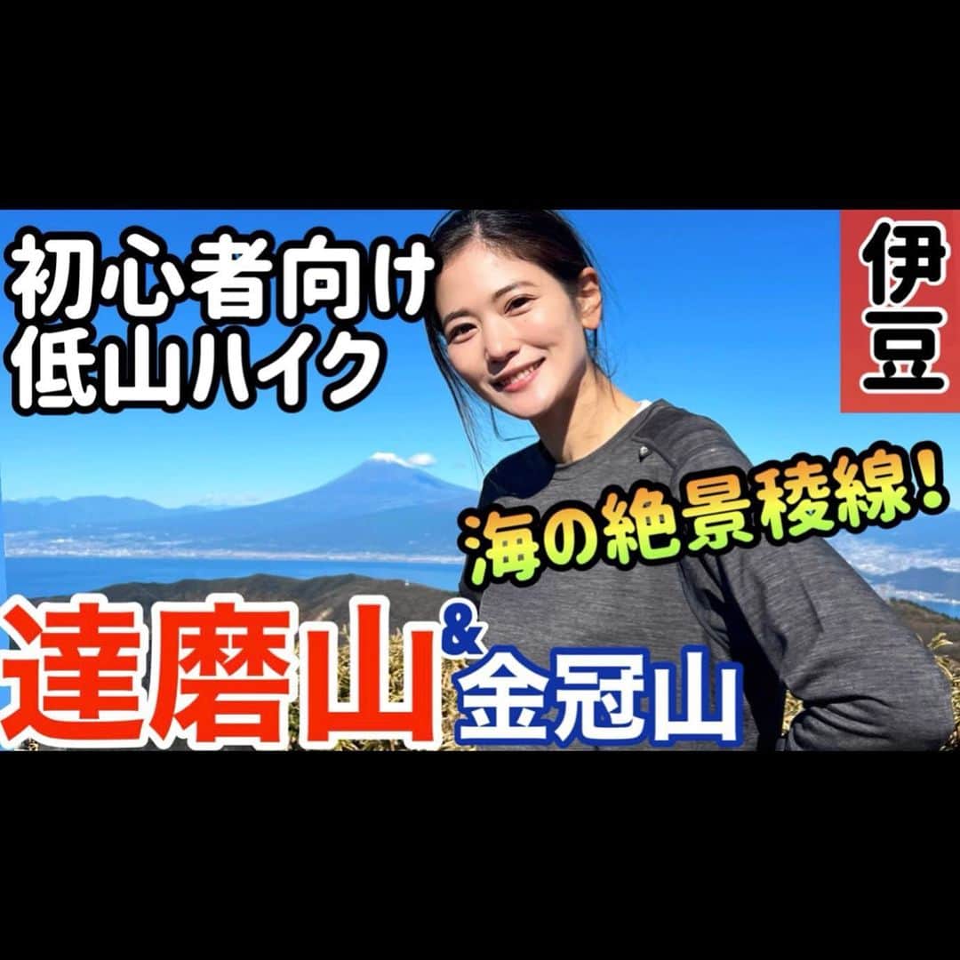 一双麻希 さんのインスタグラム写真 - (一双麻希 Instagram)「YouTubeアップしました‼️📺🏔😌 プロフィールのURLから飛べます☻ 今回は、静岡県伊豆にある【#達磨山 】に登ってきた様子をお伝えします✨  『ハードでなく、絶景が楽しめる山！』を求めてここへ☺️ 常に富士山と海に囲まれて歩けて、とにかく気分がいい♪ 低山なのにこんなに絶景の山があったなんて。😳✨ こんなに楽々&ルンルンで、この景色を味わえるなんて..😭 想像以上の絶景で..良い山見つけちゃいました♡😏  ここは普段山登らない方でも登れるハイキングコースだと思うので、山を始めてみたい方にも是非お勧めです☻ 低山も良いもんだなぁ✨✨ 気持ちいい景色を、ぜひご覧ください〜！！📺  #いっそうまきchannel #YouTube #金冠山 #低山ハイク #伊豆  #富士山が見える場所 #低山 #絶景 #ハイキング #低山ハイキング #西伊豆 #西伊豆スカイライン #山女 #山ガール #登山女子 #登山 #伊豆旅行 #トレッキング #山好きな人と繋がりたい #自然が好き #アウトドア好き #アウトドア女子 #キャンプ女子 #キャンプ好き #山好き #登山初心者 #稜線歩き #japanview  #いっそうまき山記録」6月18日 20時17分 - isso_maki315