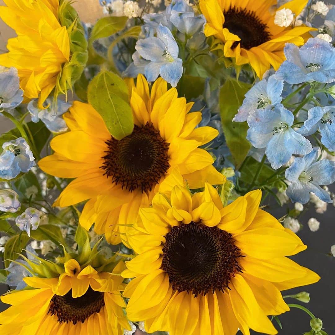 丸高愛実さんのインスタグラム写真 - (丸高愛実Instagram)「父の日🌻💙💜 お花と長女作の絵🖼をプレゼント🎁  この絵はパパの周りにママ妹サッカーボールを描いたんだって🥹🙏 あれ、長女はー？と聞くと幼稚園に行ってるから居ないそうです🤣笑  パパいつもありがとう😊💓  #父の日 #家族 #family」6月19日 15時50分 - marutakamanami