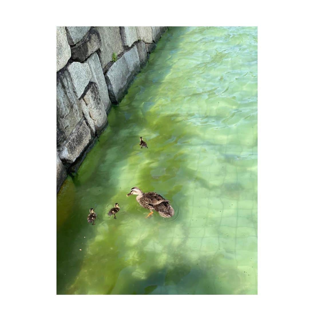 武井咲さんのインスタグラム写真 - (武井咲Instagram)「一生見てられる、、、🥹」6月19日 15時56分 - emitakei_official
