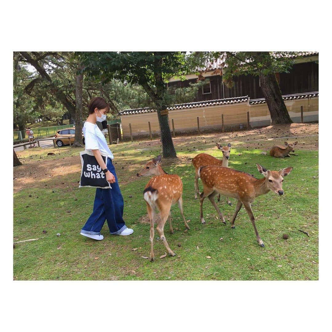 桃果さんのインスタグラム写真 - (桃果Instagram)「鹿さんとの距離が縮まった。。🫢💌🫰」6月20日 0時16分 - momoka_825_