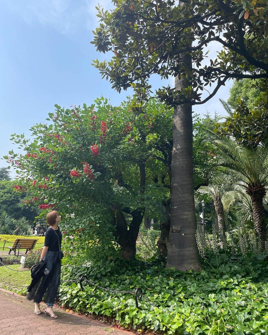 葉月里緒奈さんのインスタグラム写真 - (葉月里緒奈Instagram)「背もたれに寄りかかって座ってみた。 これならおばさんっぽくないでしょ。 でもこの写真の撮り方(3枚目)はおばさんだね(笑)。 #おば散歩#暑いから公園内のみ#日比谷公園 #緑が綺麗#都会のオアシス#rionahazuki」6月20日 8時47分 - riona_hazuki