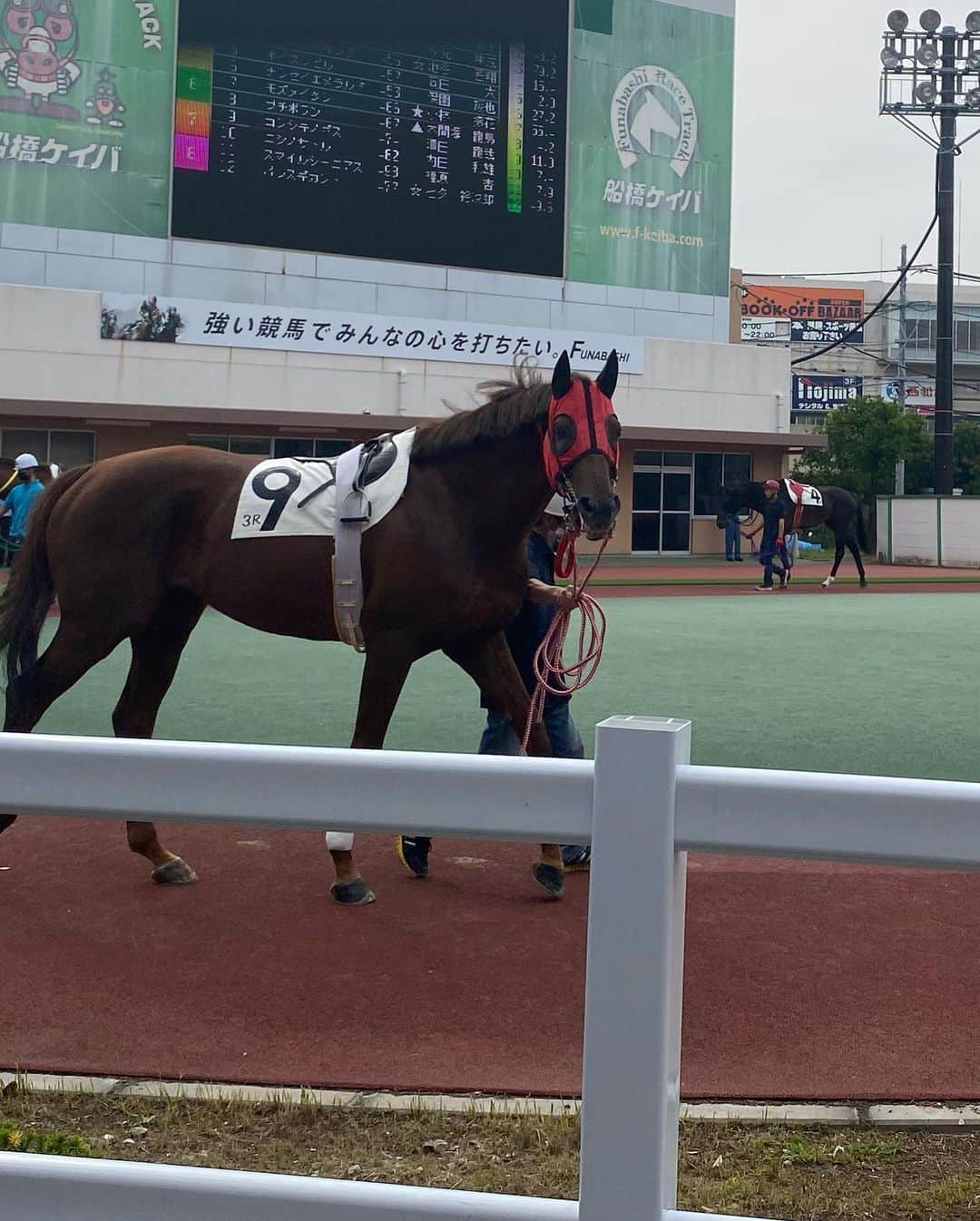 夏本あさみさんのインスタグラム写真 - (夏本あさみInstagram)「船橋競馬ハートビートライブの生放送ありがとうございました。回収率248%✨とっても楽しかったです🎯 * 普段は中央専門なので、ほとんど初めての地方競馬。コースの感じや騎手の方、ダート馬もあんまり詳しくないのでどうだろう、、と思っていましたが、今日は血統を頼りに予想して的中できました🫶キズナありがとう、、🥺💖 * 船橋競馬さんからいっぱいプレゼントもいただき、ほんとに楽しくて幸せな1日でした~~~^ ^💖 * イイネやコメントもたくさんありがとうございました✨ * * #船橋ケイバ  #ハートビートナイター  #地方競馬  #パドック観に行ったら  #みんなこっち見てくれた 🐴」6月20日 23時43分 - natsumotoasami