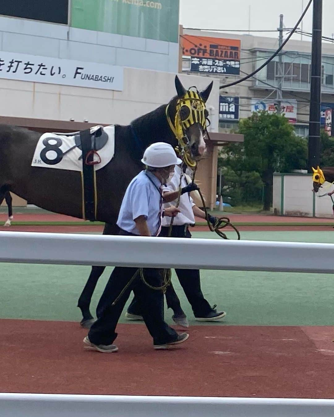 夏本あさみさんのインスタグラム写真 - (夏本あさみInstagram)「船橋競馬ハートビートライブの生放送ありがとうございました。回収率248%✨とっても楽しかったです🎯 * 普段は中央専門なので、ほとんど初めての地方競馬。コースの感じや騎手の方、ダート馬もあんまり詳しくないのでどうだろう、、と思っていましたが、今日は血統を頼りに予想して的中できました🫶キズナありがとう、、🥺💖 * 船橋競馬さんからいっぱいプレゼントもいただき、ほんとに楽しくて幸せな1日でした~~~^ ^💖 * イイネやコメントもたくさんありがとうございました✨ * * #船橋ケイバ  #ハートビートナイター  #地方競馬  #パドック観に行ったら  #みんなこっち見てくれた 🐴」6月20日 23時43分 - natsumotoasami