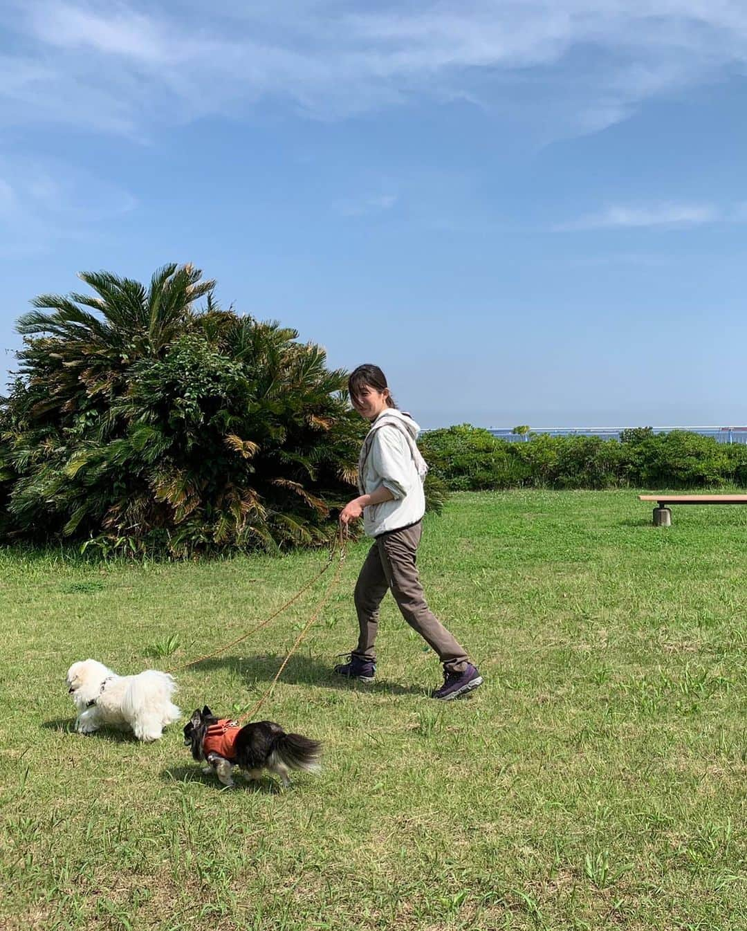 小野真弓さんのインスタグラム写真 - (小野真弓Instagram)「おはようございます☺️ いつもたくさんお世話になっている、、 フジテレビさん👀 たまにはお外で記念撮影📸✨＼(^ω^)／  マネージャーさんのスマホが、 私のスマホよりも綺麗に撮れます😆✨ 肌の透明度、何割か増しで嬉しい✨  そろそろ私のスマホ、、 替え時なんですが、、 大事な情報が移行できるか不安で そのままになっております(￣∇￣)📱 メカオンチでして🙋‍♀️ 機種変更の度に、大パニックです😂 みんなの可愛い写真も ちゃんと保存できるか不安🥺 🐶🐶🐯🐯🐈‍⬛🐈🍼  さて、 毎日、蒸し暑いですが、 体調にお気をつけて🍹  今日も良い一日を お過ごしください☺️🍀✨  #フジテレビ #紫陽花ワンピ#私服 #お仕事かーさん#打ち合わせ 🐾 #チワワ#ハナちゃん #チワマル#ハルくん #雑種猫兄妹#アオくん#ナナちゃん #預かり猫#親子猫#ろくちゃんファミリー #黒猫#ハチくん #犬と猫のいる暮らし#犬猫日記 #わんさんぽ風景#木更津#千葉暮らし」6月21日 7時29分 - hanaharuaroi