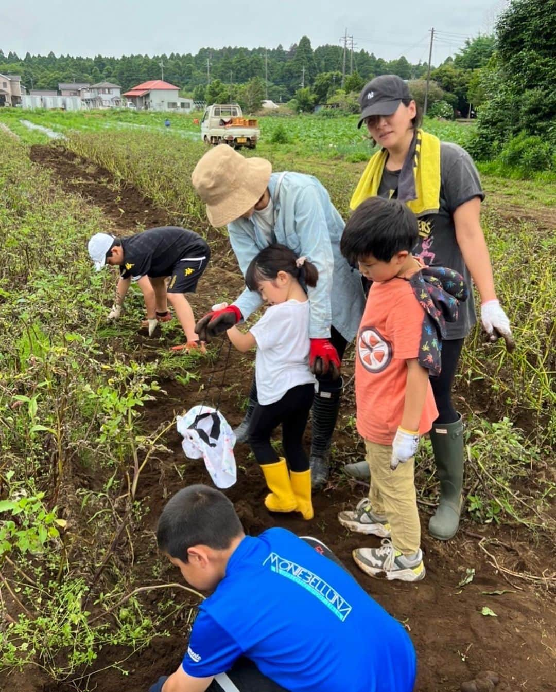 潮田玲子さんのインスタグラム写真 - (潮田玲子Instagram)「先日野菜の収穫体験に行ってきました🥰🙏 農薬の使ってないトマトや白パプリカなどのお野菜を息子はその場で丸かじり😂🤭 甘くて美味しい〜とモリモリ食べてました笑🤭👏 除草剤も使ってないので皆さん手作業で草取りしたり本当に手間や苦労があるそうなのですが、何よりお野菜への愛情をとても感じました🥹有り難いなーとますます感謝の気持ちしか沸きません！🙏  最後子供達は虫取りに夢中になってとても楽しそうでした😂むしろそっちがメイン？！  @hachiware_farm の皆さん ありがとうございました🥰💕  収穫したお野菜の色鮮やかなことっ😳❤️ カラフルなじゃがいもはチップスにしたらうますぎて止まらない〜🤭🤭🤭 美味しい野菜をどう料理するか考えるだけでワクワクするのでした✌️  #野菜収穫体験 #無農薬野菜 #減農薬野菜 #虫とりも夢中だった #玲子飯」6月21日 8時59分 - reikoshiota_official