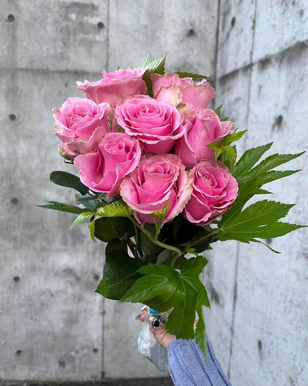 くまみゆさんのインスタグラム写真 - (くまみゆInstagram)「超一流ホテルやレストランで提供されているワンランク上のお花が毎日届くバラの定期便のサービスを @moafura_official で頼んでみたっ . . モアフラは、バラの取り扱いが日本一の最高品質のバラを仕入れてるみたい🌹 ほんとに綺麗で、可愛くて気に入っちゃったのでまた頼みたいッッ🌹 . .  #moafura  #モアフラ #お花の定期便 #お花のある暮らし #お花屋さん#お花好きな人と繋がりたい #バラのある生活 #バラの花束 #バラ#バラサブスク#バラの定期便#豪華なバラ #お花#綺麗#オシャレ#可愛い#お花と私」6月21日 19時29分 - kumamiyu.24