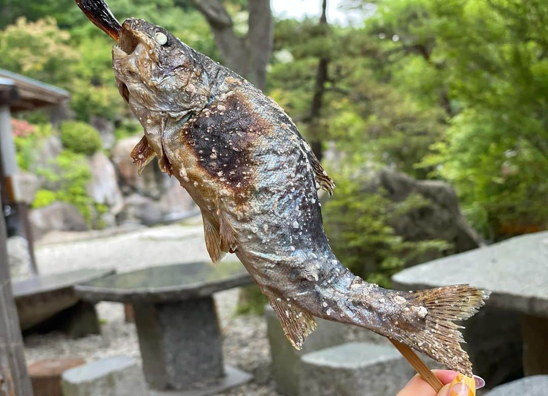 chiyoさんのインスタグラム写真 - (chiyoInstagram)「. 釣って食べれる釣り堀が好き🐟 お魚釣るのも食べるのも好きだけど ちゃんとした釣りで釣れたことない。笑 だから人工的な場所でやる位が私には合っている。← 栃木の那須だよ。 イワナとニジマスが同じ数だけいるんだけど、どちらを釣っても料金は一緒。 イワナは警戒心強くて釣れなかった🥺釣ったお魚は全て完食しなきゃいけないから、イワナあきらめた🥺 リベンジいく。 お魚は大きくてふっくらで焼き加減抜群。 3匹いただき、ところてんもたいらげ、 黄金のカレーうどんも絶品でした♡ また行く。←しつこい @seiryunosato  #那須高原#釣り堀#清流の里  #🐟#釣り#ニジマス#イワナ #黄金のカレーうどん ワンピースは、 @ambientofficial」6月21日 19時31分 - chiyo_atakara1106