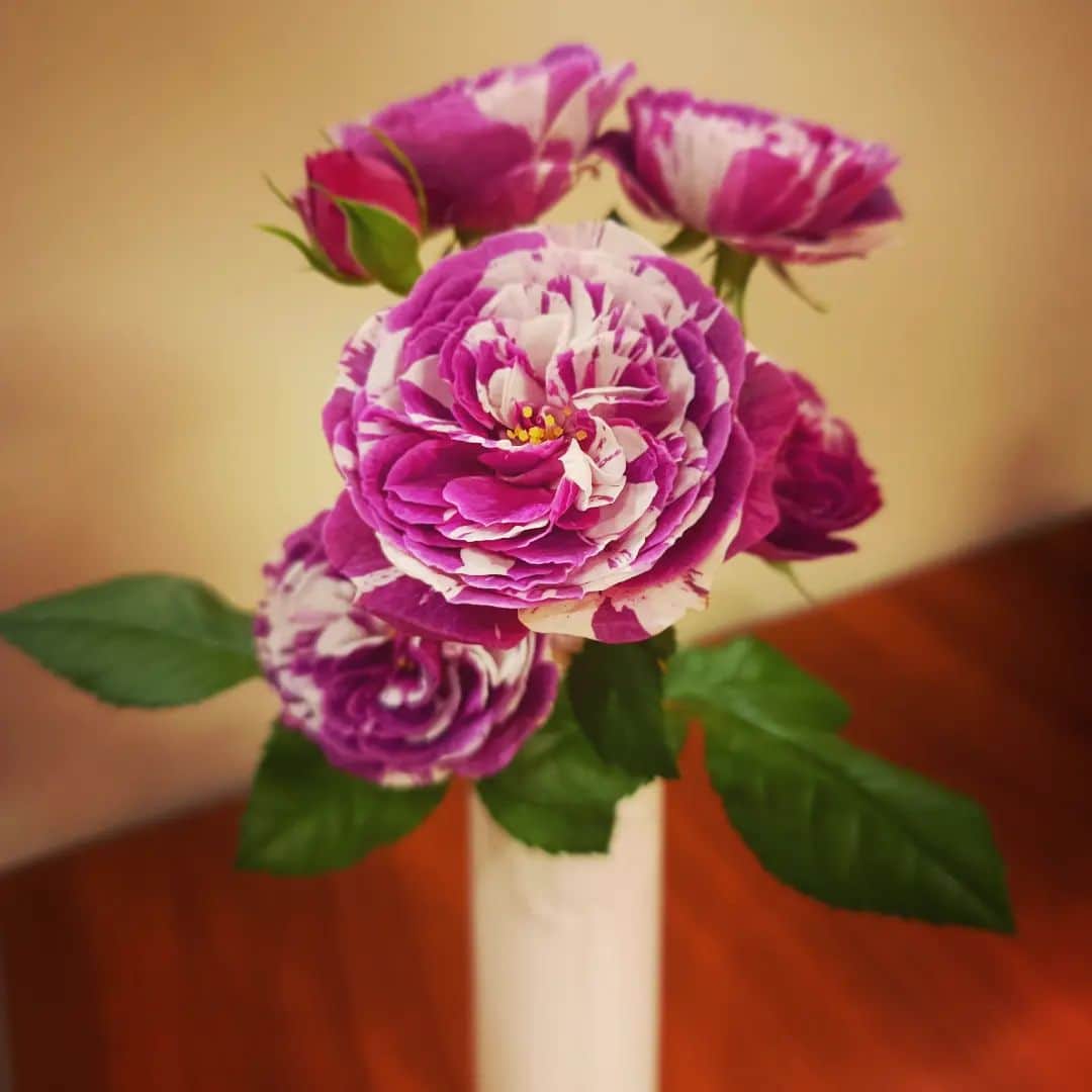 上野樹里さんのインスタグラム写真 - (上野樹里Instagram)「今日は、　#じぞ恋　最終回なので、 お花を買って来ました💐  皆さん、ありがとうございました😊💖」6月21日 21時13分 - _juri_art_