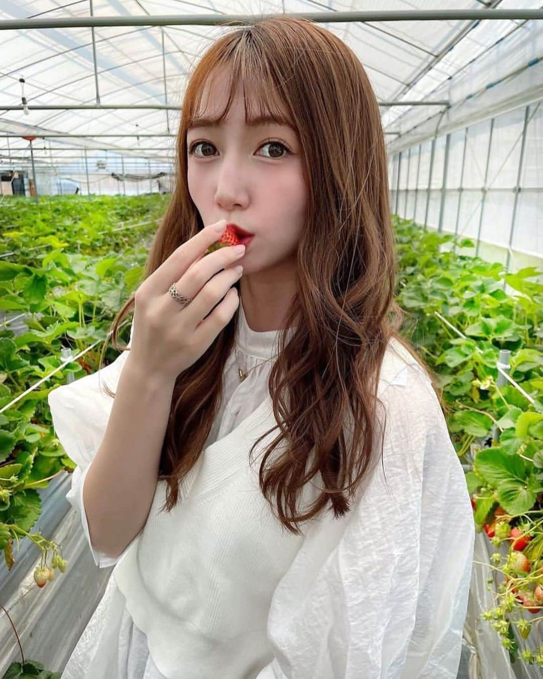 美女美容事情さんのインスタグラム写真 - (美女美容事情Instagram)「《美女といちご❤️🍓》 *⁠ 今回ご紹介させて頂きますのは!!👀❤︎⁠⠀ 美希さん< @ktmk_127 >の素敵なお写真📸⁠⠀⁠⠀⁠⠀⁠ *⁠⠀⁠⠀⁠⠀⁠⠀ いちご狩りでインスタ映え❣️🌿🍓 かわいい苺がよく似合いますね☺️💕 *⠀⁠⠀⁠⠀⁠⠀⁠⠀ 美希さん< @ktmk_127 > ⁠⠀⁠⠀⁠⠀⁠⠀ 素敵な投稿ありがとうございました☺️📸✨ *⠀⁠⠀⁠⠀⁠⠀⁠⠀ 美希さんのアカウントには他にも素晴らしい投稿が沢山ありますので是非覗いてみてくださいね💁‍♀️💙⁠⠀⁠⠀⁠⠀⁠⠀ *⠀⁠⠀⁠⠀⁠⠀⁠⠀ △▼△▼△▼△▼△▼△▼△▼△▼△▼ ⁠⠀⁠⠀⁠⠀ ❤🧡💛「美女美容事情」💚💙💜⠀⠀⠀⠀⠀⠀⠀⠀⠀⠀⠀⠀⠀⠀⁠⠀⁠⠀⁠⠀⁠⠀⁠⠀ 👇掲載ご希望の方は👇⠀⠀⠀⠀⠀⠀⠀⠀⠀⠀⠀⠀⠀⠀⠀⁠⠀⁠⠀⁠⠀⁠⠀⁠⠀ @b_b_j.jタグ付けと🖤 #ビジョビ ⁠⠀ 🖤タグ付けお願いします✨⠀⠀⠀⠀⠀⠀⠀⠀⠀⠀⠀⠀⠀⠀⠀⁠⠀⁠⠀⁠⠀⁠⠀⁠⠀ △▼△▼△▼△▼△▼△▼△▼△▼△▼ ⁠⠀⁠ #インフルエンサー #インスタ美女 #インスタグラマー #インスタ映え #いちご #いちご狩り #苺 #苺狩り」6月22日 18時01分 - b_b_j.j