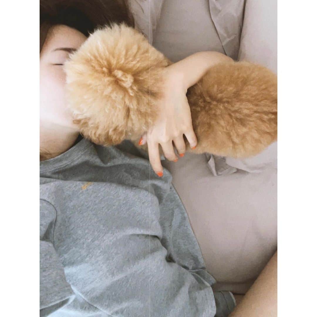 紗栄子さんのインスタグラム写真 - (紗栄子Instagram)「朝起きて、ベッドでいちゃこらする数十分のこの時間が私たちには大切🐶💖  ららみは朝から晩までどの瞬間も可愛い✨」6月23日 10時19分 - saekoofficial