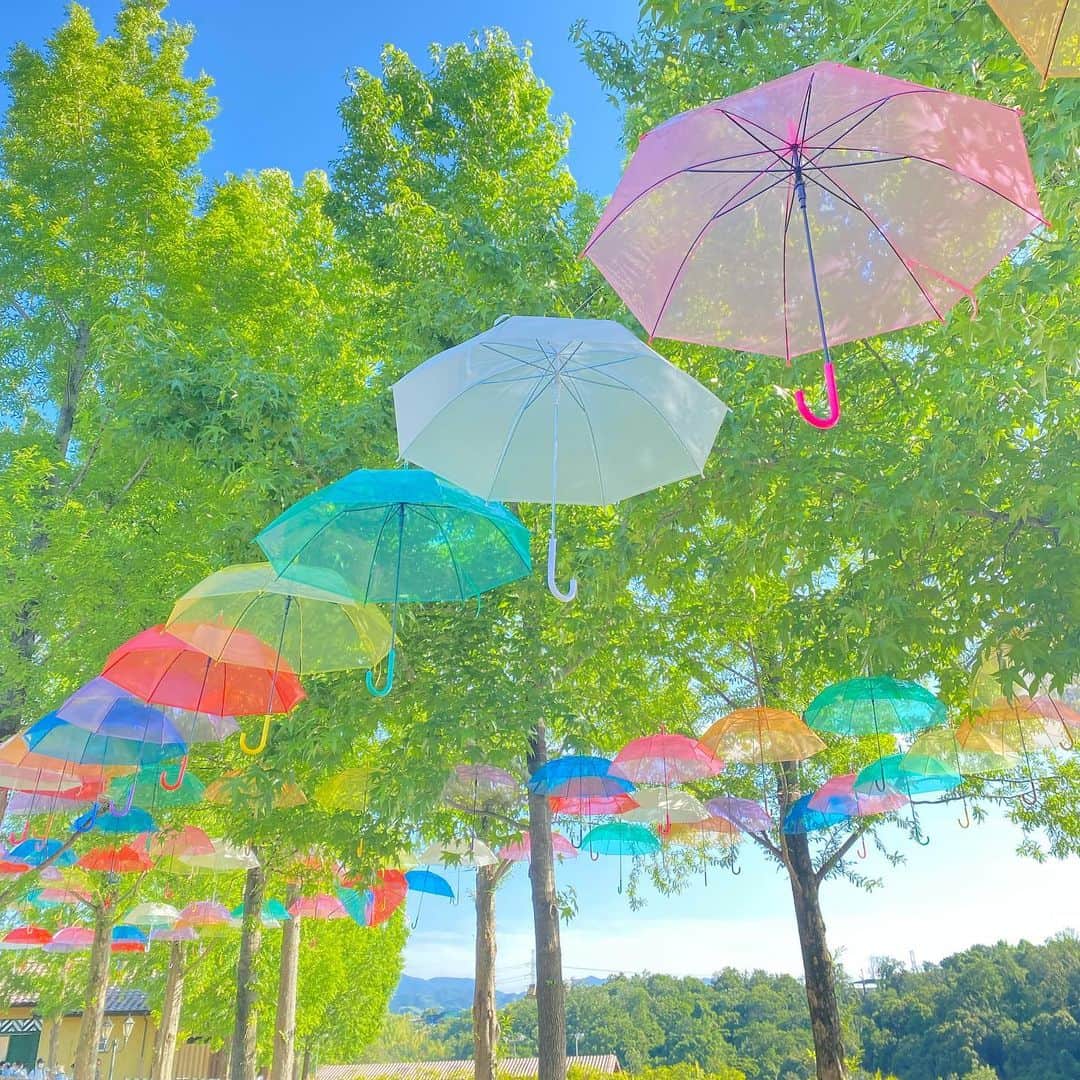 澤野井香里さんのインスタグラム写真 - (澤野井香里Instagram)「ゆらゆら自由に揺れながら空を虹色に染めてくれる#スカイアンブレラ ☂️を見たくて#ハーベストの丘 へ＾＾♪ @harvesthill_sakai  太陽の光で傘の色が地面に映って、とってもキレイ✨ 梅雨の日でもこれを見たら元気になりそう💫  子供達は広い園内を走りまわり、たくさんの動物に触れ合って餌やりしたり、夏季限定の水遊び👙できるじゃぶじゃぶ広場でびしょ濡れになったり😆  自然溢れる長閑な場所に癒される💕  #ks_22✨  #ks_osaka✨ #大阪 #堺 #幼稚園 #6歳 #年長 #3歳 #年少 #兄妹 #男の子ママ #女の子ママ　#関西ママ　#京都ママ #こどもとおでかけ #👦🏻👧🏻 #S⭐️_ #M🍒_  #s⭐️m🍒 #ハーベストの丘スカイアンブレラ #大阪おでかけ #関西おでかけ #大阪イベント #関西イベント」6月23日 11時22分 - kaori_sawanoi