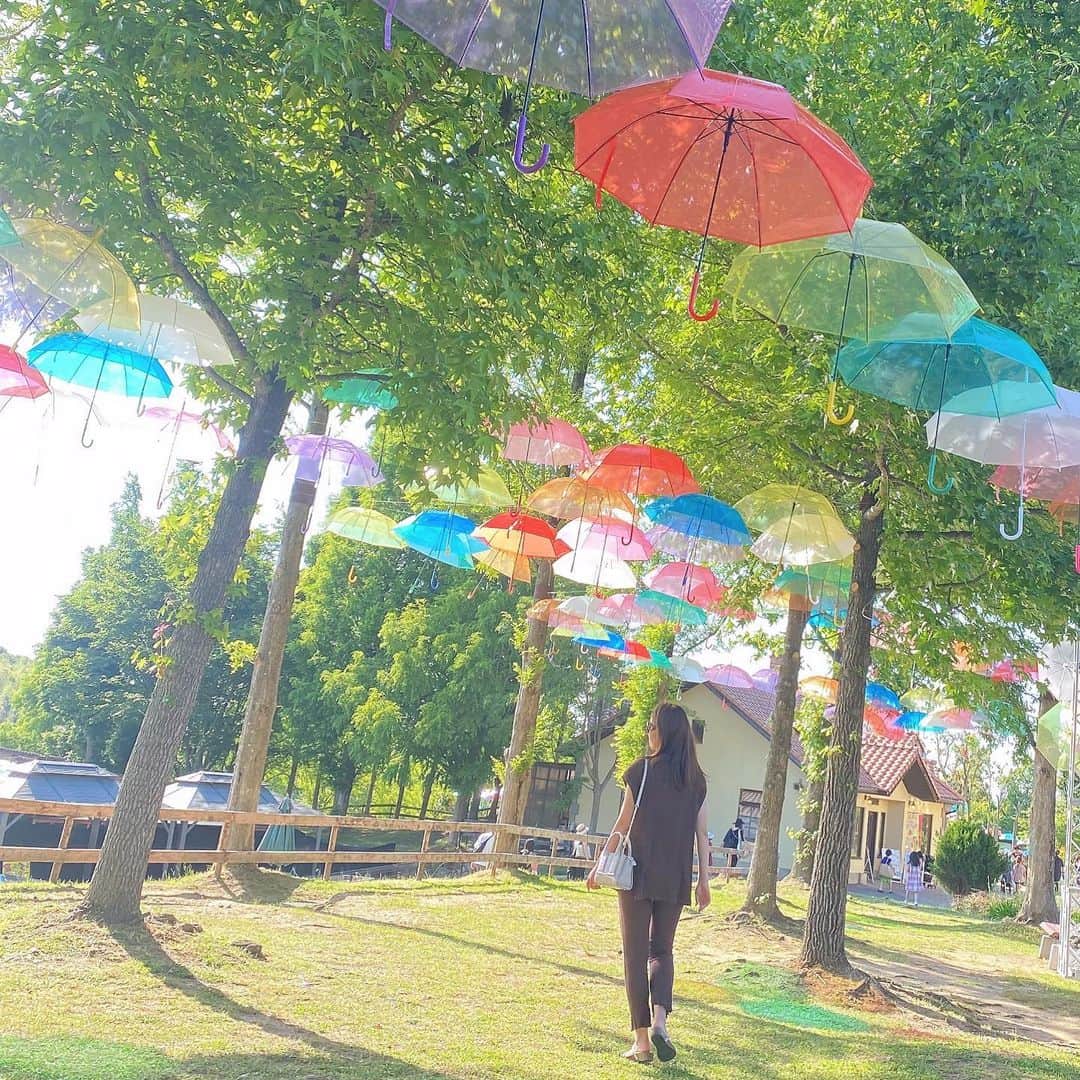 澤野井香里さんのインスタグラム写真 - (澤野井香里Instagram)「ゆらゆら自由に揺れながら空を虹色に染めてくれる#スカイアンブレラ ☂️を見たくて#ハーベストの丘 へ＾＾♪ @harvesthill_sakai  太陽の光で傘の色が地面に映って、とってもキレイ✨ 梅雨の日でもこれを見たら元気になりそう💫  子供達は広い園内を走りまわり、たくさんの動物に触れ合って餌やりしたり、夏季限定の水遊び👙できるじゃぶじゃぶ広場でびしょ濡れになったり😆  自然溢れる長閑な場所に癒される💕  #ks_22✨  #ks_osaka✨ #大阪 #堺 #幼稚園 #6歳 #年長 #3歳 #年少 #兄妹 #男の子ママ #女の子ママ　#関西ママ　#京都ママ #こどもとおでかけ #👦🏻👧🏻 #S⭐️_ #M🍒_  #s⭐️m🍒 #ハーベストの丘スカイアンブレラ #大阪おでかけ #関西おでかけ #大阪イベント #関西イベント」6月23日 11時22分 - kaori_sawanoi