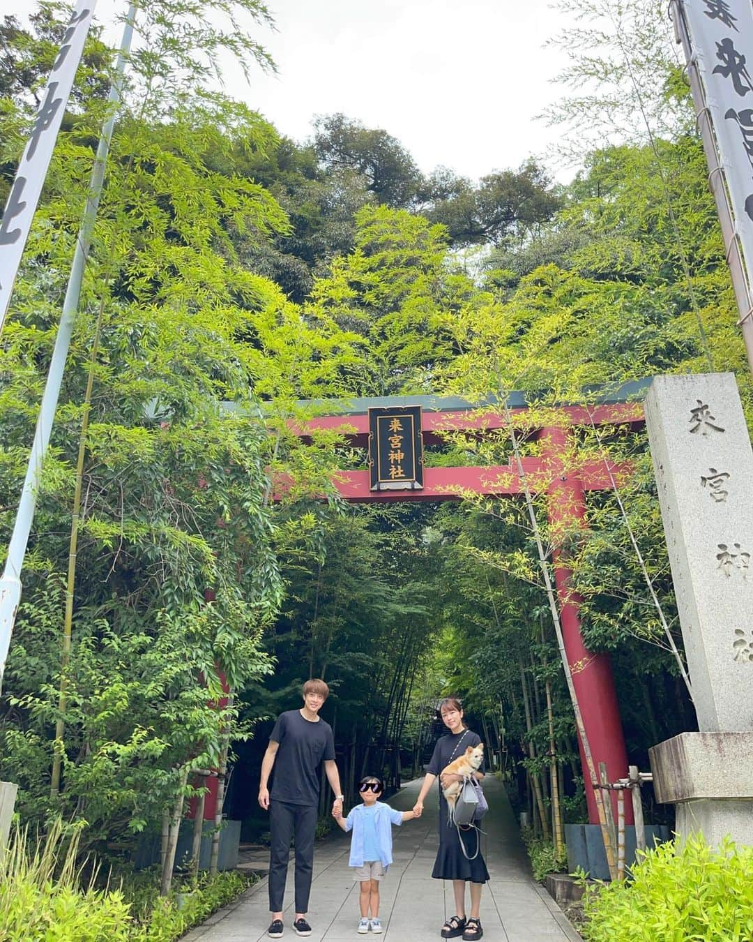 本田朋子さんのインスタグラム写真 - (本田朋子Instagram)「熱海の来宮神社へ。 4年前、息子を妊娠中のときに訪れて以来。 3歳になった息子はすくすくと育っていますというご報告がてら、参拝してきました。 現在（1枚目）と4年前（2枚目）を見比べると、感慨深いなぁ。 そして、ペットフレンドリーな熱海でナナさんも旅行できて、良い想い出ができました♡  #熱海 #来宮神社 #お礼参り  #ペットフレンドリー #チワワと行く旅 #本田朋子のweekly献立」6月24日 16時55分 - tomoko_honda_official_phonics