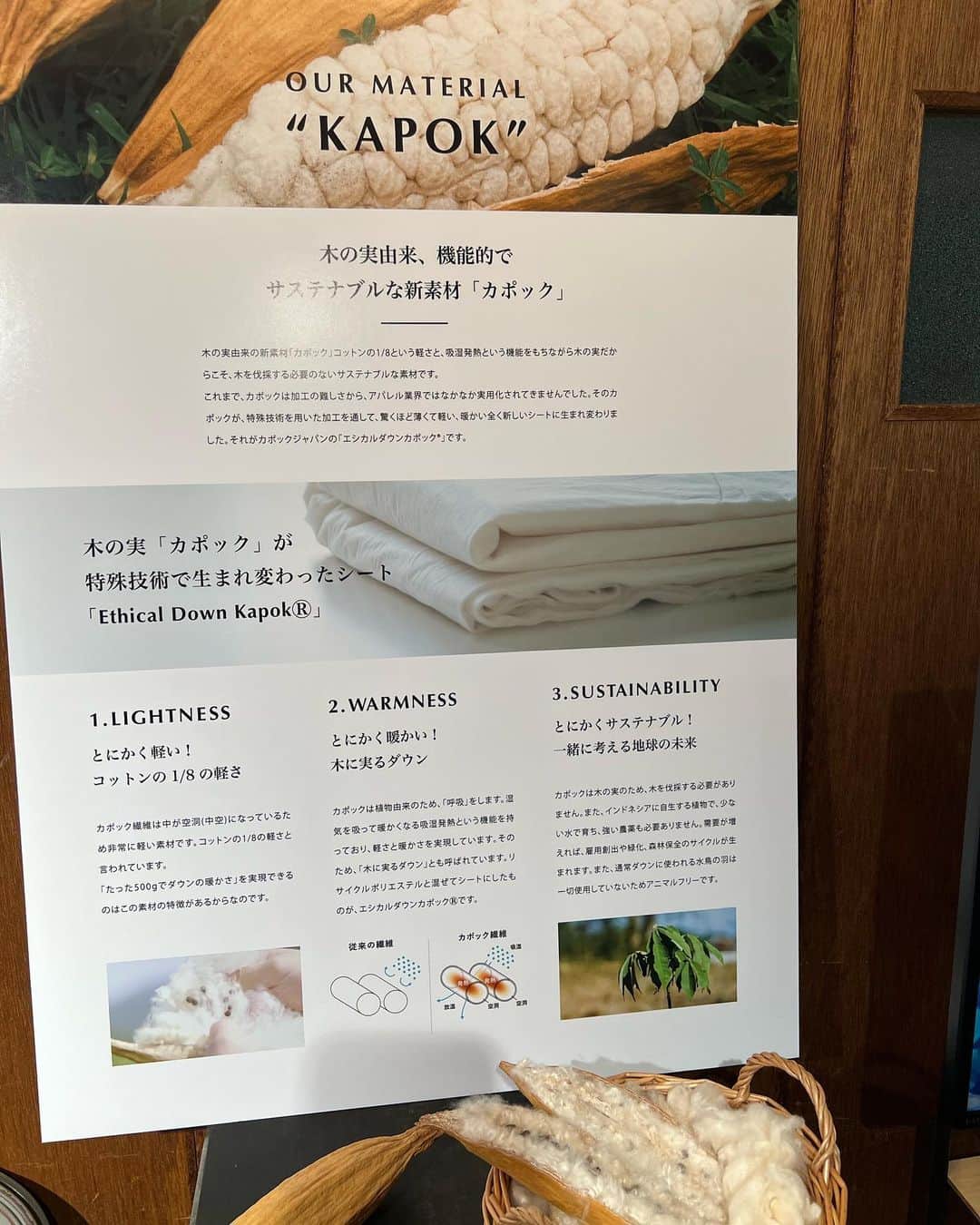 前田典子さんのインスタグラム写真 - (前田典子Instagram)「@kapok_knot_jp  #カポックノット  #木の実になるダウン 軽くて空気を含むカポック繊維シートを内蔵したコートは ダウンのように暖かい👍  私はこのチェック柄コートをオーダーしてきました😊  展示会場で @aoi_yoshikura  #吉倉あおい ちゃんと遭遇‼️ 2013年に放送された連ドラ#ぴんとこな で親子役で共演して以来😆わぁ〜‼️久しぶりに娘に会えて嬉しかった💕　娘の活躍を応援してます😌  モコモコエコファーの 裏地にカポック繊維シート これは最強に暖かいね👍  ブラウンのコートも素敵だった🤎👍  そして スタイリストの @tsugumiw さんにも 会えたー❣️ #ヘルシーセクシー🔥😍  ラストの写真 これがカポックの実🤎 ふわふわを紡いで繊維シートを作ります」6月24日 17時42分 - maenorichang