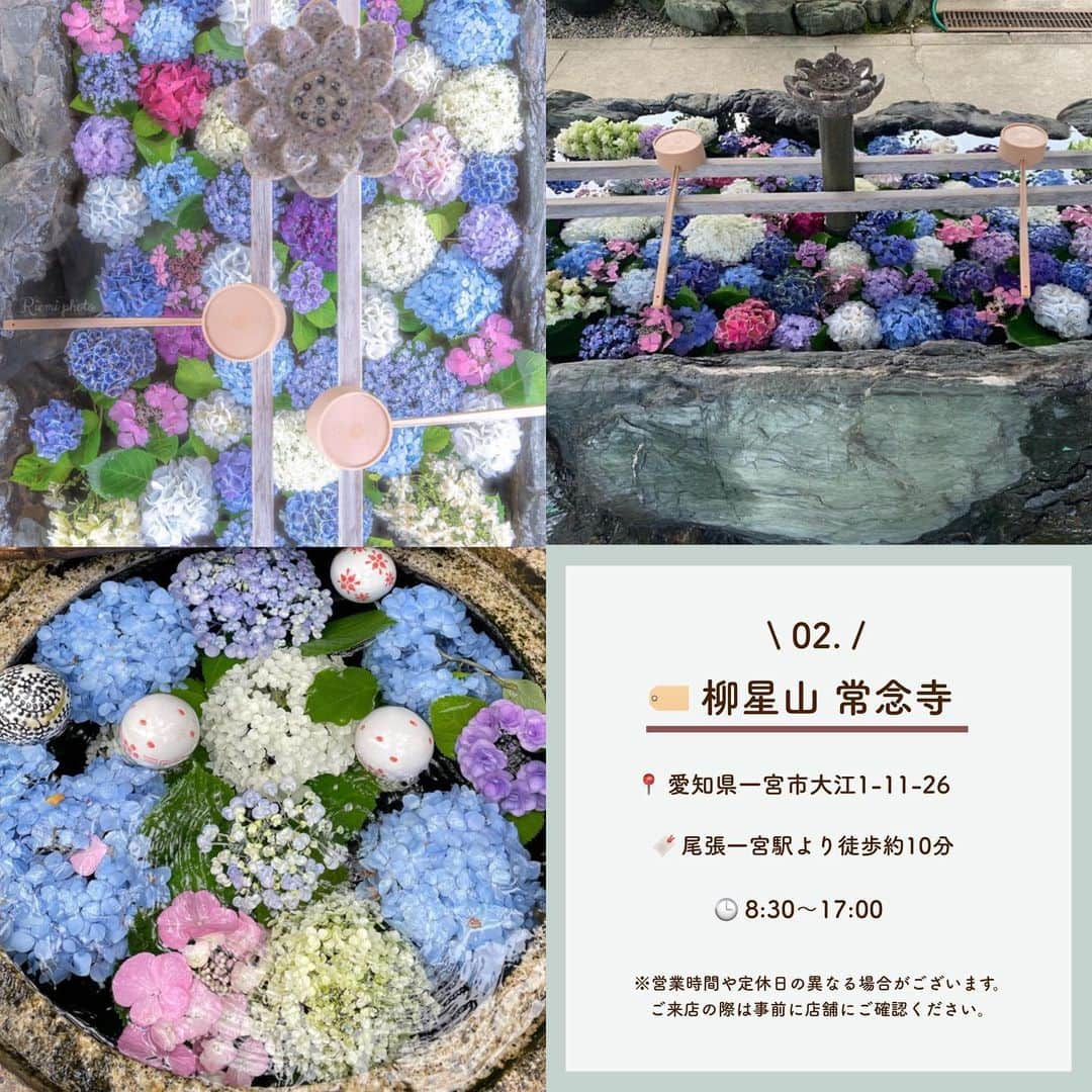 SUCLEさんのインスタグラム写真 - (SUCLEInstagram)「#花手水  今回はきれいなお花に癒される♡ 全国の花手水のあるスポットをご紹介しますᐝ ぜひチェックしてみてくださいね🤍  表紙 @catballet0518  2枚目 @mer_ma_id_  01. 柳谷観音 楊谷寺 sasprifinity2 @hirok5805 @catballet0518  02. 柳星山 常念寺 @riemi4760 @yymmoon @aynd____3009  03. 般若寺 〜コスモス寺〜 @r_r_r_i_sa @__26kaori_s  04. 明星山 三室戸寺 @cha_chan0124 @haruka_photo048 @star7225  🧸❣️🧸❣️🧸 SucleではTikTokやYouTubeも更新中！ インスタには載せていない動画もオリジナルで制作しています🥣ᐝ プロフィールのリンクからぜひチェックしてみてくださいね👀💞  #花手水#花手水巡り#花手水好きな人と繋がりたい#神社巡り#お寺巡り#手水舎#手水舎の紫陽花」6月24日 21時01分 - sucle_