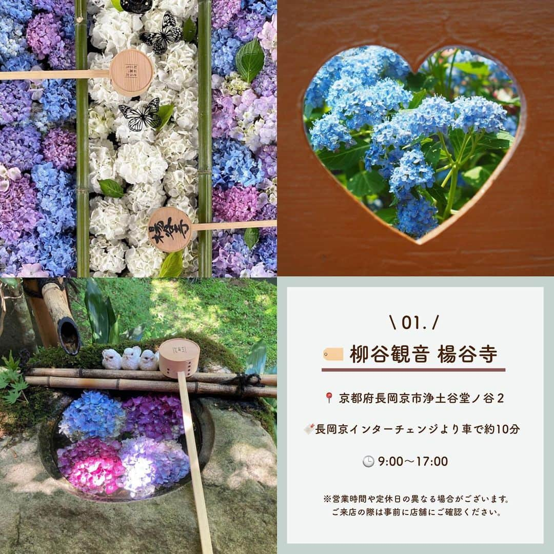 SUCLEさんのインスタグラム写真 - (SUCLEInstagram)「#花手水  今回はきれいなお花に癒される♡ 全国の花手水のあるスポットをご紹介しますᐝ ぜひチェックしてみてくださいね🤍  表紙 @catballet0518  2枚目 @mer_ma_id_  01. 柳谷観音 楊谷寺 sasprifinity2 @hirok5805 @catballet0518  02. 柳星山 常念寺 @riemi4760 @yymmoon @aynd____3009  03. 般若寺 〜コスモス寺〜 @r_r_r_i_sa @__26kaori_s  04. 明星山 三室戸寺 @cha_chan0124 @haruka_photo048 @star7225  🧸❣️🧸❣️🧸 SucleではTikTokやYouTubeも更新中！ インスタには載せていない動画もオリジナルで制作しています🥣ᐝ プロフィールのリンクからぜひチェックしてみてくださいね👀💞  #花手水#花手水巡り#花手水好きな人と繋がりたい#神社巡り#お寺巡り#手水舎#手水舎の紫陽花」6月24日 21時01分 - sucle_