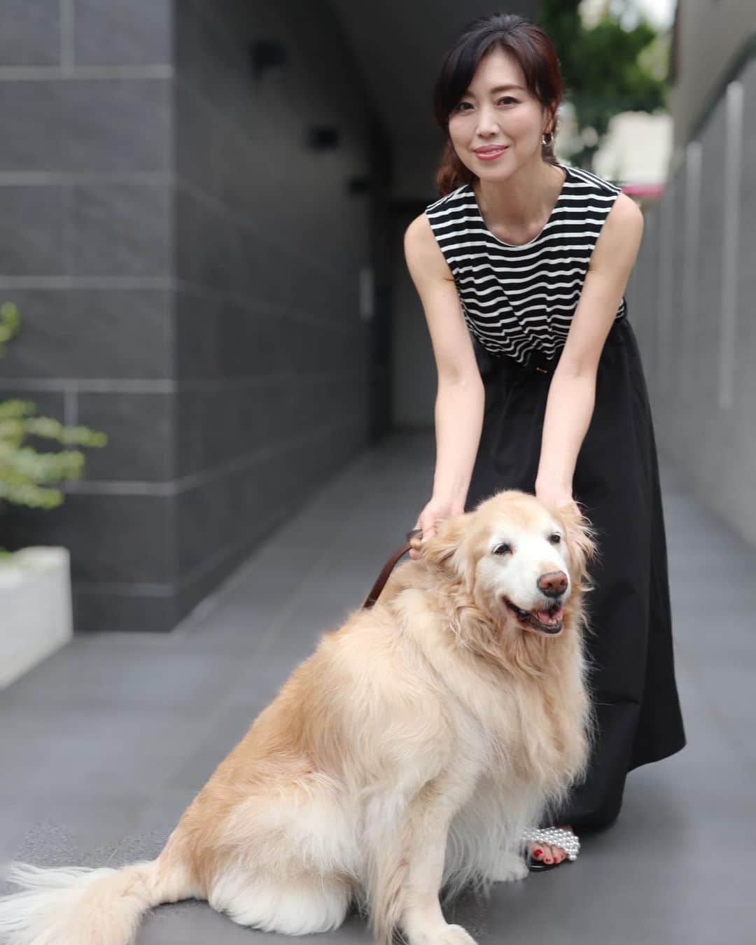 ImotoEtsuyo さんのインスタグラム写真 - (ImotoEtsuyo Instagram)「#愛犬  #ココア と。 ・ ・ @dolce._official の  ボーダードッキングワンピース 【black】を着てみました。 ・ ・  1枚でオシャレ見えする ドッキングワンピースは 便利。  ウエストをきゅっと絞れば　 フィットアンドフレアの メリハリあるシルエットにも。 この日はゆるく着ています。  色違いで whiteもあります🤍 昨日から再販されてます。 ・ @dolce._official  #ドルチェ  #ワンピース #ドッキングワンピース  #ボーダー #コーデ  #fashion  #大人カジュアル  #ゴールデンレトリバー  #goldenretriever」6月25日 5時35分 - bisuhada