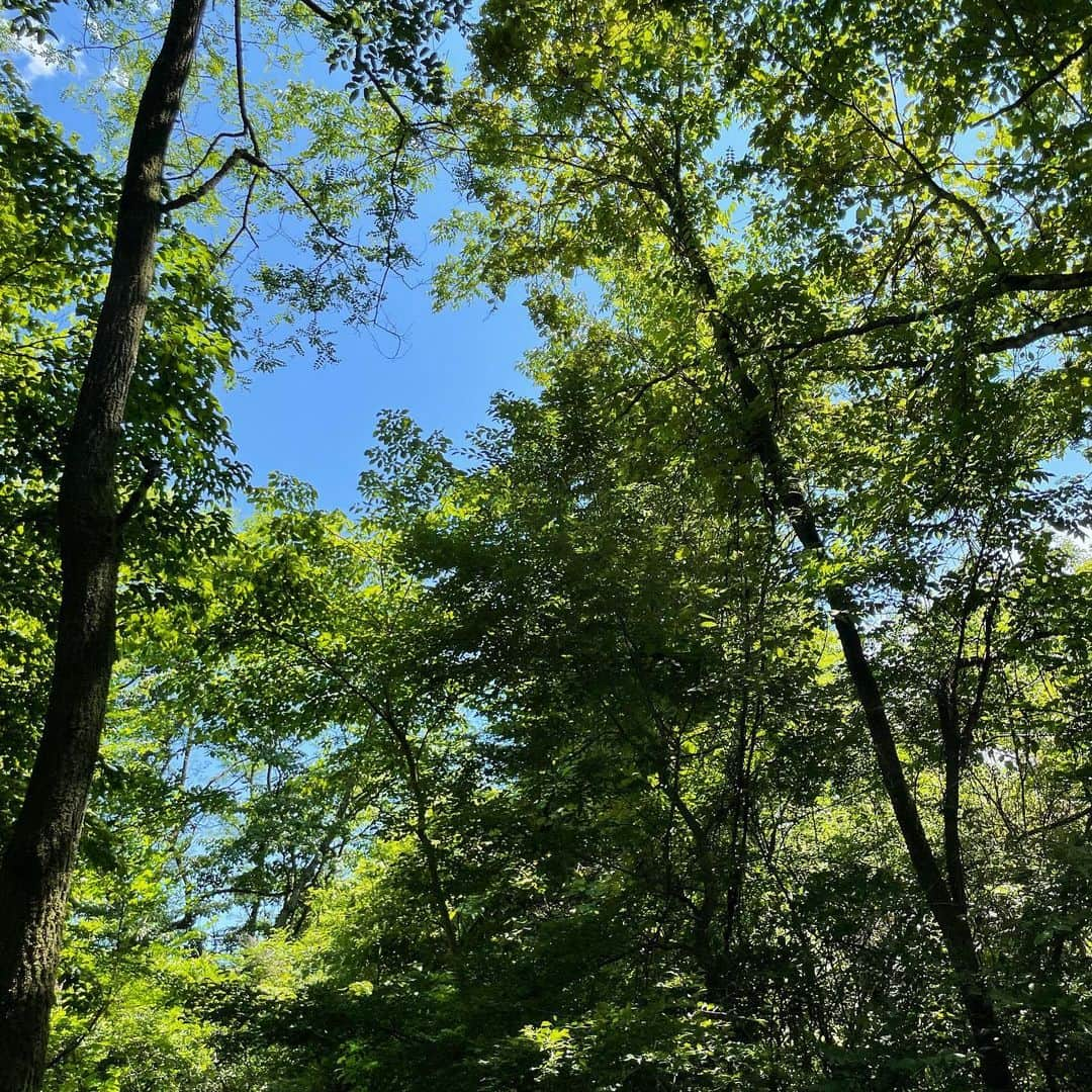 中町綾さんのインスタグラム写真 - (中町綾Instagram)「休日🌿」6月25日 17時45分 - ayanakamachi