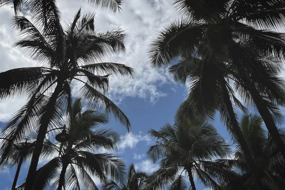 宮内理沙さんのインスタグラム写真 - (宮内理沙Instagram)「🫶🌴🌺  載せたいものがまだまだあるので何かのタイミングで載せると思いますが、こちらで一旦ハワイ連投は終わりにしたいと思います🙏💐 . . 今回のお仕事を通して改めてハワイの素晴らしさを実感すると同時に、コロナの影響だけでなく以前からの環境問題について深く考えさせられました。 今後に活かせるようもっと勉強します💡 . . 素敵な企画をありがとうございます☺️✨ そして沢山のハワイ投稿にお付き合いいただきありがとうございました🥲🤍  #MakeUpEarth #🌍❤️」6月25日 22時49分 - risa_miyauchi