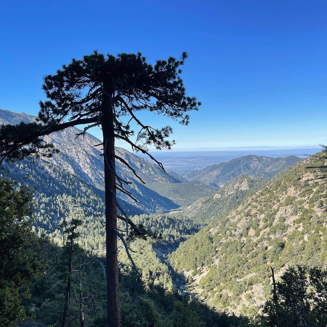 Leslie Camila-Roseさんのインスタグラム写真 - (Leslie Camila-RoseInstagram)「Made it to #mountbaldy at 10,000 feet (3000m mètres d’altitude) I’m back home now.. Eating vegan ice cream in bed. Not sure if the ice cream is helping with the pain from the 10 miles hike or is just helping me cope with the SCOTUS decision… Either way it f***g hurts!」6月26日 14時49分 - leslie_coutterand