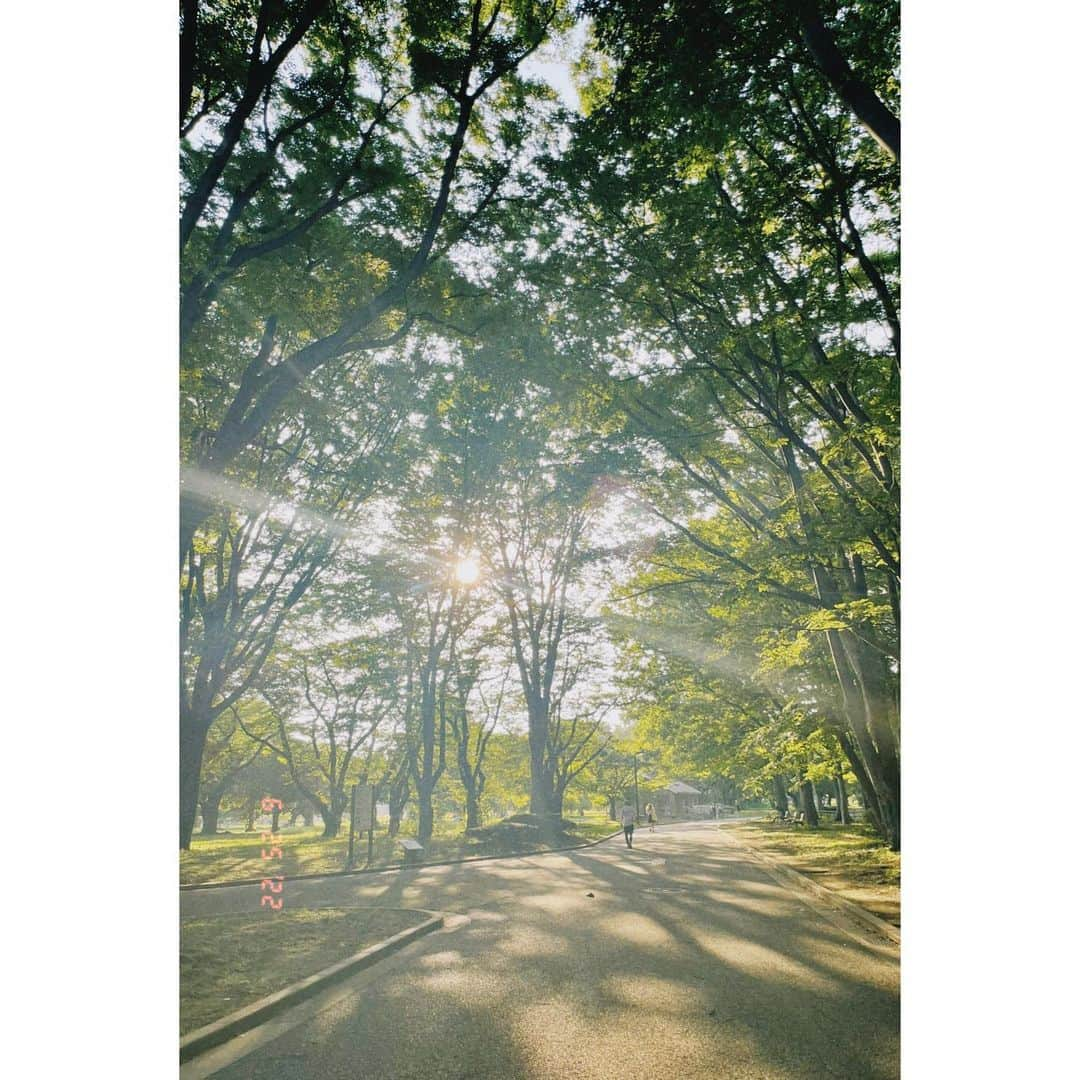 石川翔鈴さんのインスタグラム写真 - (石川翔鈴Instagram)「. 自然だいすき〜🌿 暑さに弱くて夏苦手だけど 撮影で夏っぽいこと沢山できて 少しずつ夏の好きなところ増えていってる🤍」6月26日 17時18分 - karen__i328