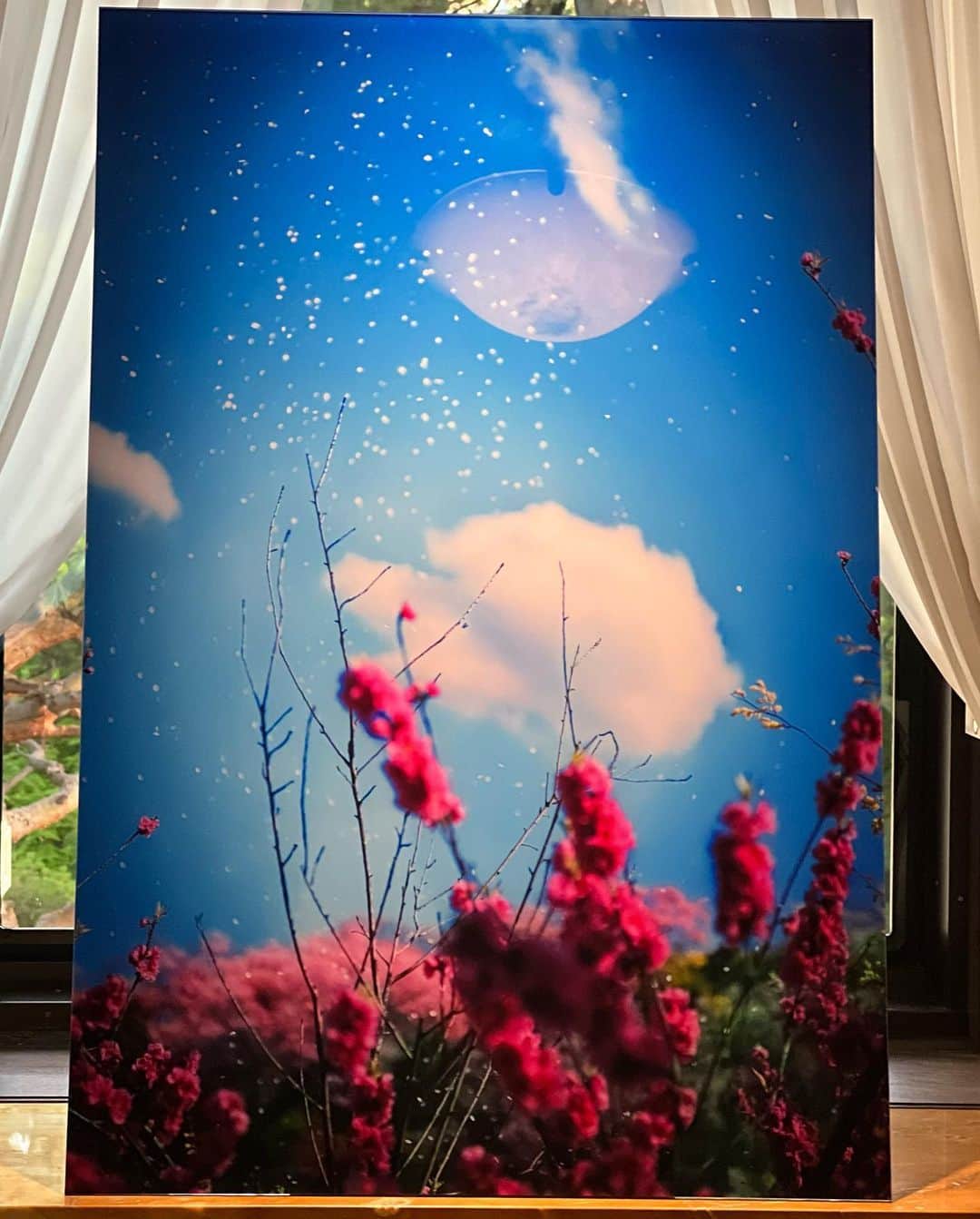 板野友美さんのインスタグラム写真 - (板野友美Instagram)「蜷川実花 展覧会「瞬く光の庭」🌿  花々が共鳴して光り輝く異次元の みかさんワールドへ💫  久しぶりにみかさんと会えて お花の美しさを堪能しました💐  @ninagawamika」6月26日 19時39分 - tomo.i_0703