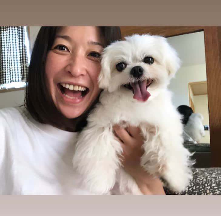 小野真弓さんのインスタグラム写真 - (小野真弓Instagram)「にこにこご機嫌ハルくんと〜(о´∀`о)🐾 つられて、がははは笑顔で😆 おはようございます🌞  今日も、朝から太陽さんさん✨ ６時散歩でも〜 太陽パワーがギリギリ⚡️🐶🐶🐾  今日も熱中症にお気をつけて 良い一日をお過ごしください☺️🍀🥤  #チワワ#ハナちゃん#のんびりシニア #チワマル#ハルくん#散歩命犬 #雑種猫兄妹#アオくん#ナナちゃん #犬と猫のいる暮らし#犬猫日記#庭#草花 🐾 #黒猫#ハチベエ #サバトラ#母猫#ろくちゃん #子猫#生後16日#まみむめも #野良猫#保護猫#預かり猫#親子猫 🍼 子猫たち、 ぷるぷるよちよち、しはじめました🥺✨ ゆるゆるこけこけ、にゃんぷろもするにゃん😆💕  小さくてもみんな個性があるにゃ(*´-`)✨  🐱いつも腕枕ママっ子、まーくん（サバ 🐱力強く大きな、みーちゃん（キジ 🐱小さくても根性がある、むーちゃん（サバ 🐱冒険好き、めーちゃん（濃いめキジ 🐱おっとりのんびり、もーくん（ハチワレ牛柄  ママ猫ろくちゃんは 子煩悩で優しい甘えん坊さん。 元野良猫の面影が全くありませーん😆❤️」6月27日 7時06分 - hanaharuaroi