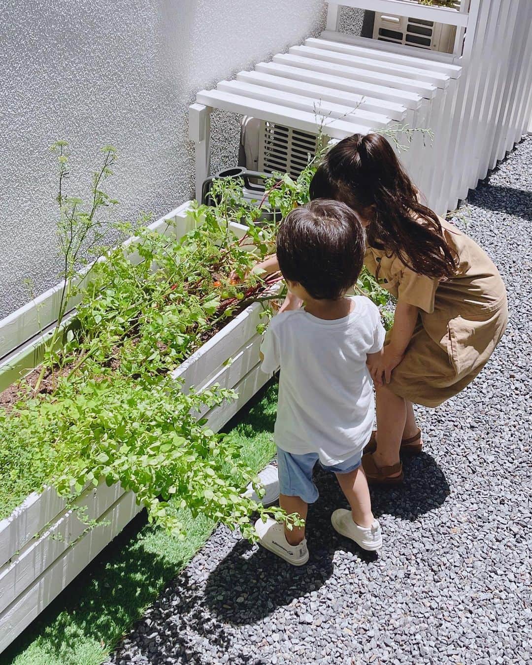 中村明花さんのインスタグラム写真 - (中村明花Instagram)「. あきえの可愛い可愛い息子くんと一緒にお庭でミニトマトを採ったよ♡♡♡ . ここは料理に使えるハーブや野菜をちょこっと育てる中庭です🌿 . ちなみに写真に映ってるプランターとエアコン室外機カバーは父作。#DIY父👨🏻 . . #ほのぼの」6月27日 10時20分 - sayaka_nakamura3