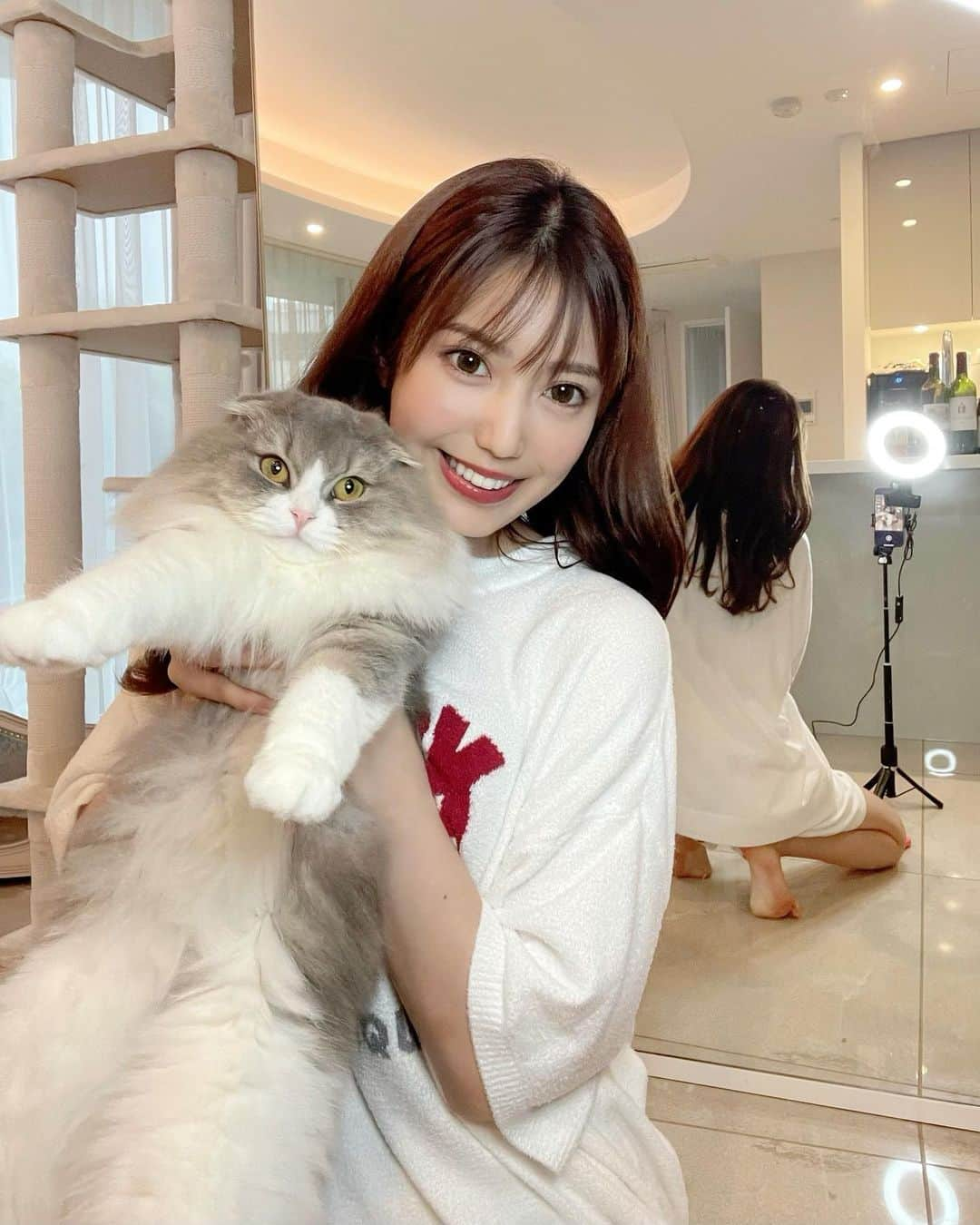 あべなつきさんのインスタグラム写真 - (あべなつきInstagram)「おうち時間🐈🤍  外は暑すぎるから お家でネトフリとか映画みたり… スマブラしたり… ねことダラダラ引きこもり生活🥺🎮🐈  スパイファミリーとmarvel作品にハマってる…アベンジャーズ面白い🙄  新しい部屋着は ジェラピケの『SHARK』🦈🖤 サメかわいすぎる。。  #部屋着　#ジェラピケ　#おうち時間」6月27日 11時36分 - i.am_natsuki_