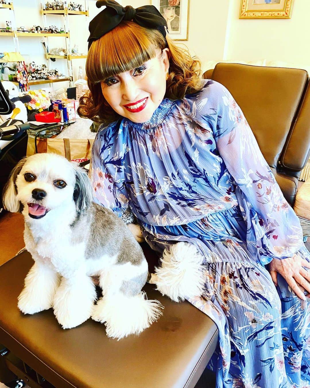 黒柳徹子さんのインスタグラム写真 - (黒柳徹子Instagram)「今日は、お仕事はお休み。 久しぶりに、ドルちゃんが私の家に遊びに来てくれました💕 ドルちゃんは、チワワとマルチーズミックス犬だそうです。 おとなしくて、可愛い💕」6月27日 17時49分 - tetsukokuroyanagi