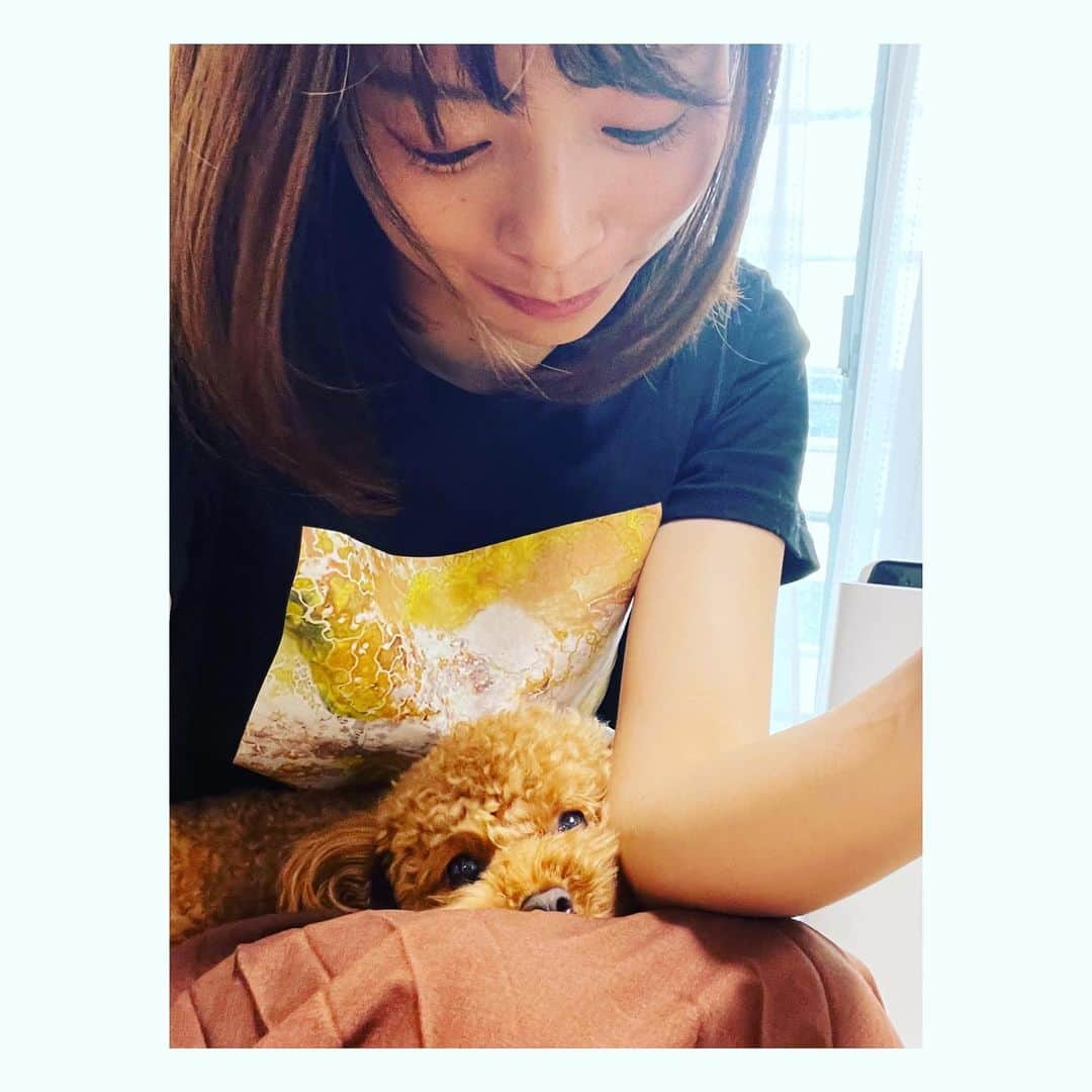 阿部芳美さんのインスタグラム写真 - (阿部芳美Instagram)「朝ニュース担当した日は、 夕方に必ず昼寝をするのですが…💤笑  片時も離れずに、くっついて一緒に寝てくれるむぎです😂笑  夜も暑いので、昼夜問わず熱中症気をつけましょう🥵💦  #癒し #むぎ #カメラ目線 #スカートと同化 😂😂 #犬のいる暮らし」6月27日 21時02分 - yoshimi_abe0410