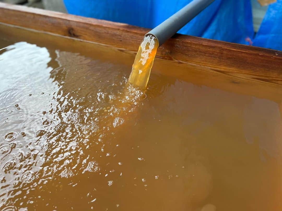 茜さやさんのインスタグラム写真 - (茜さやInstagram)「温泉の温度の正解は……♨️  なんと15℃でした🥶！！笑 寒い！！笑  夏とはいえ浸かるとめちゃくちゃ寒かったです🫢  だけどやっぱり肌触りとかそこに泥が貯まる感じとか濃い色とか…出た後の肌触りとかめちゃくちゃ良かった🥹❤️  幸せでした…！✨  MY浴槽を運んで持ってきてタンクに温泉を詰めてくれたスタッフさんにめちゃくちゃ感謝です🥲✨  #和歌山　#和歌山観光 #温泉　#紀三井寺 #源泉　#気持ちいい #wakayama #hotspring #hotsprings #wakayamagram」6月27日 22時18分 - saya.akane