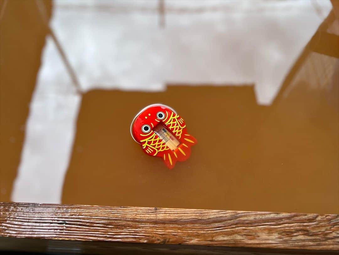 茜さやさんのインスタグラム写真 - (茜さやInstagram)「温泉の温度の正解は……♨️  なんと15℃でした🥶！！笑 寒い！！笑  夏とはいえ浸かるとめちゃくちゃ寒かったです🫢  だけどやっぱり肌触りとかそこに泥が貯まる感じとか濃い色とか…出た後の肌触りとかめちゃくちゃ良かった🥹❤️  幸せでした…！✨  MY浴槽を運んで持ってきてタンクに温泉を詰めてくれたスタッフさんにめちゃくちゃ感謝です🥲✨  #和歌山　#和歌山観光 #温泉　#紀三井寺 #源泉　#気持ちいい #wakayama #hotspring #hotsprings #wakayamagram」6月27日 22時18分 - saya.akane